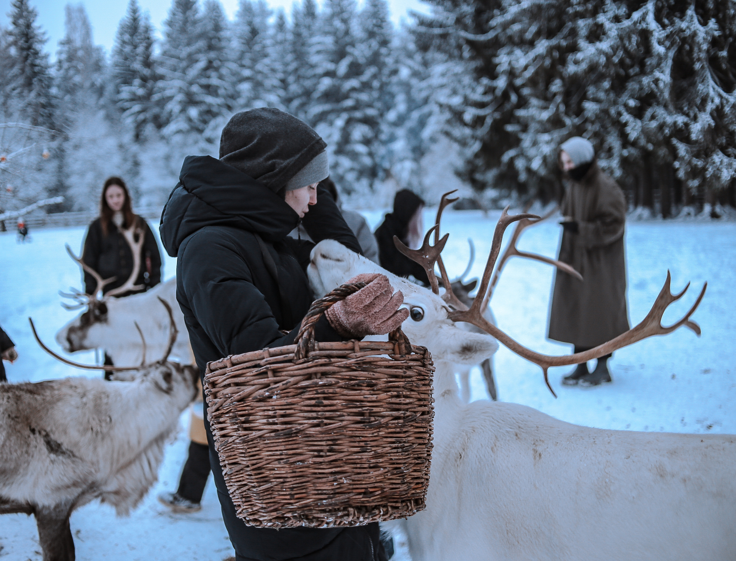 Уличная фотография. Главная