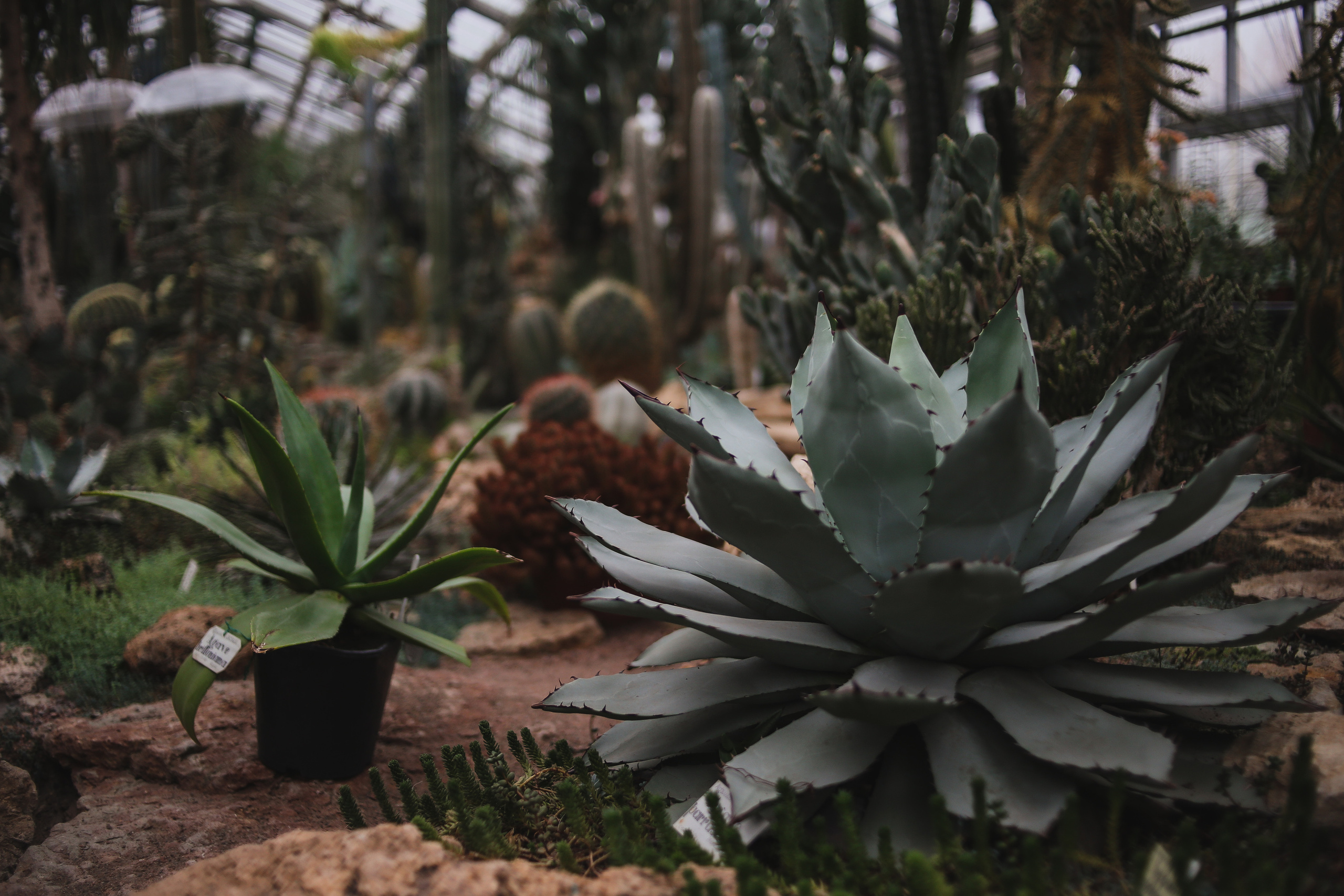 Тут нет людей. Главная