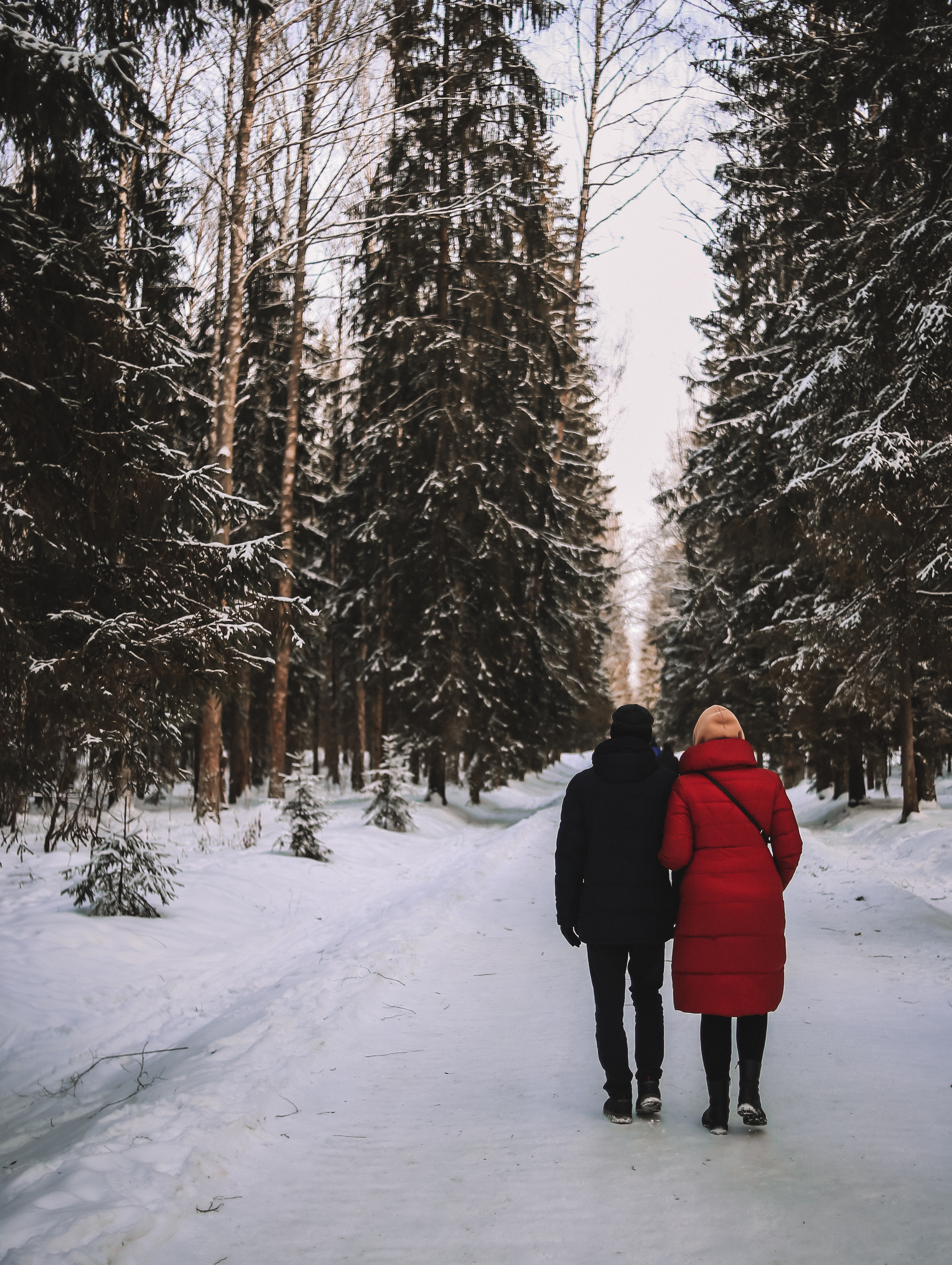 Зима. Главная