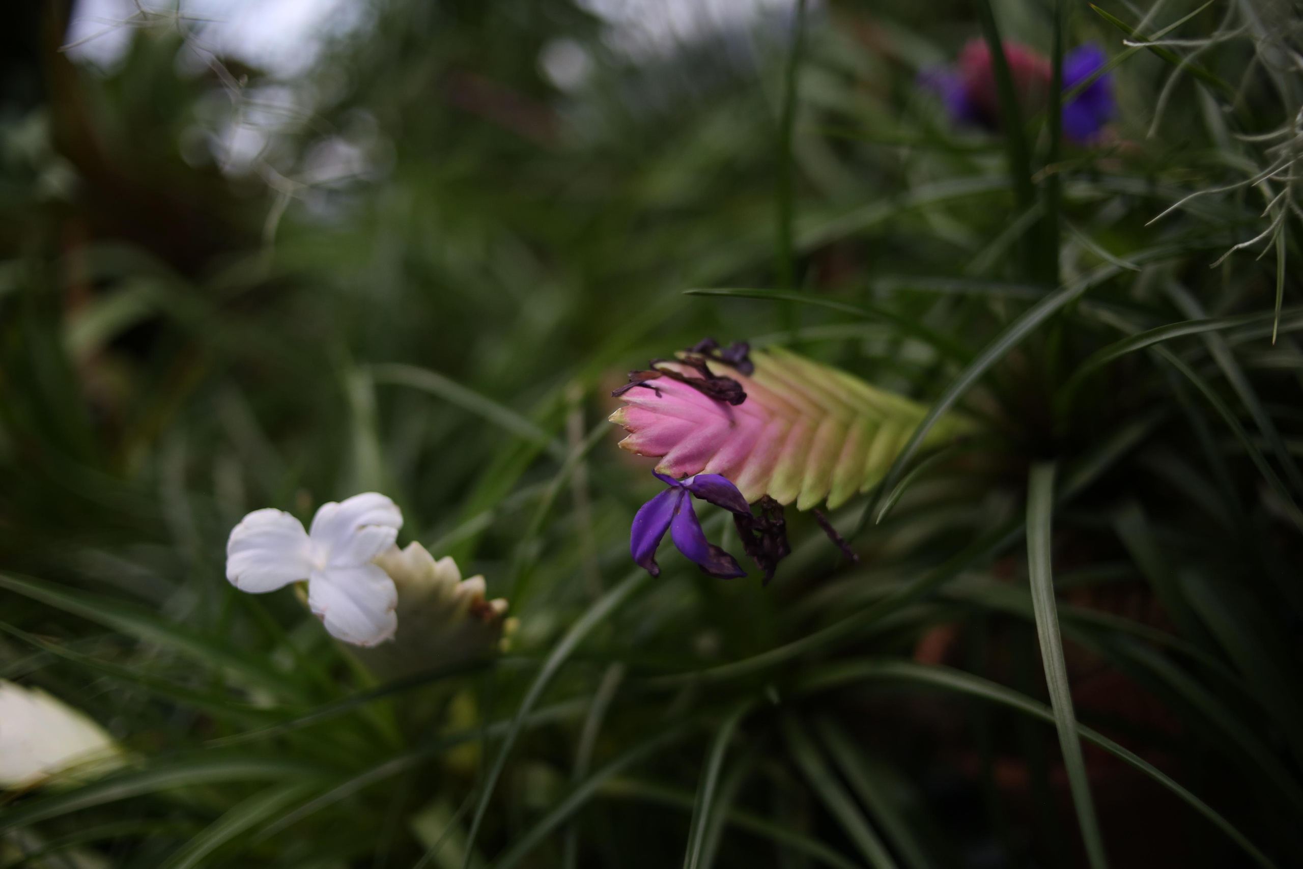 Тут нет людей. Главная