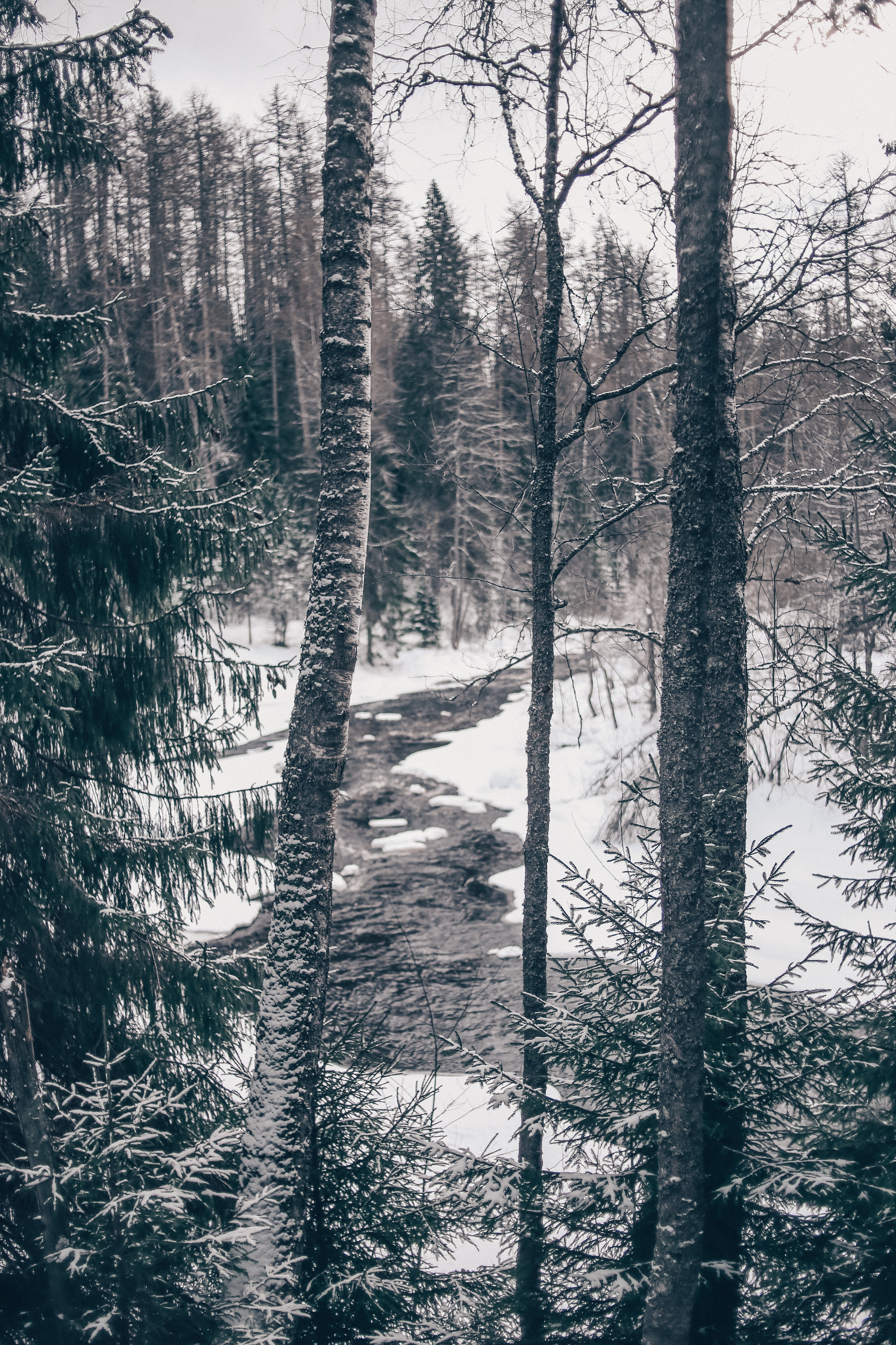 Зима. Главная