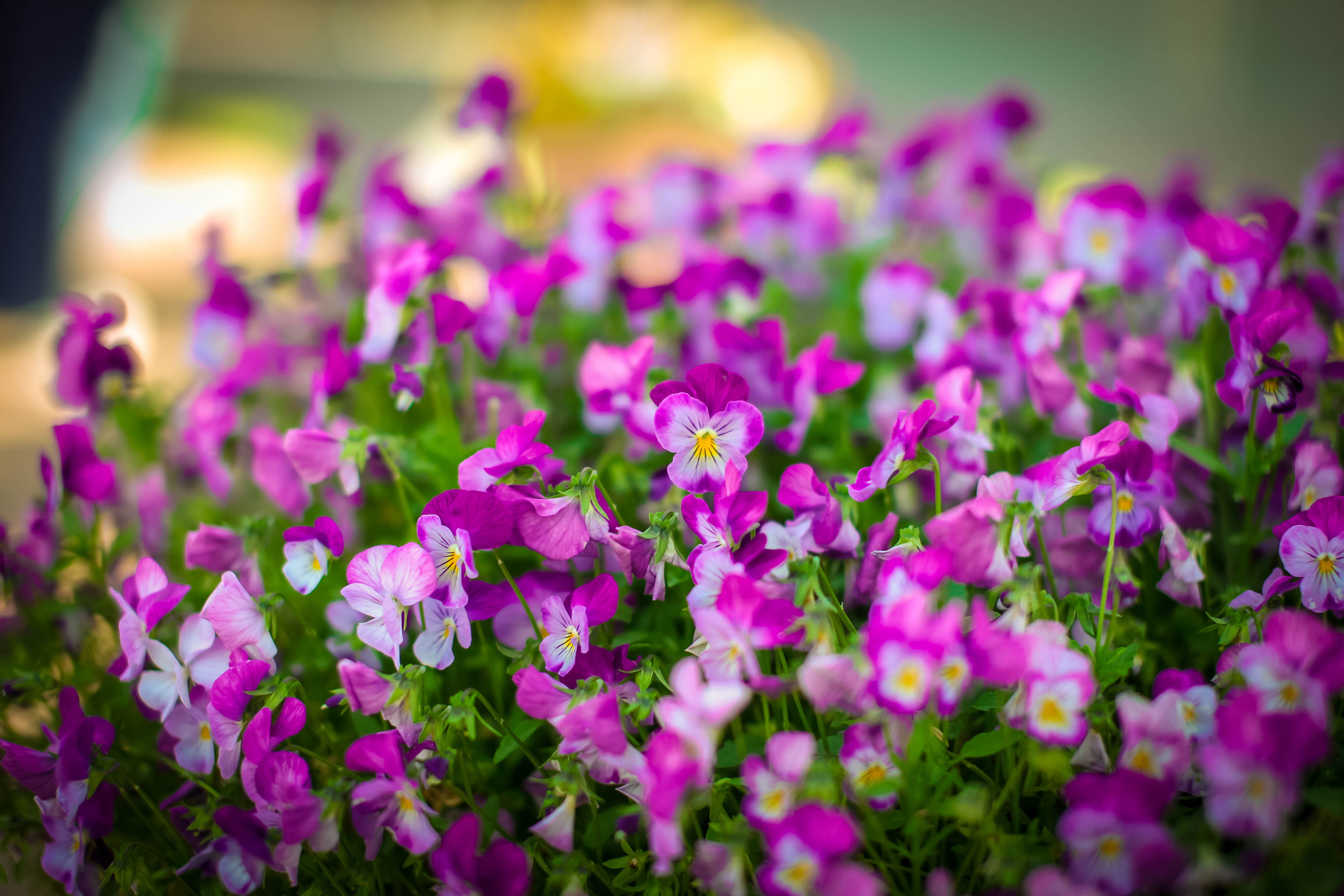 Тут нет людей. Главная