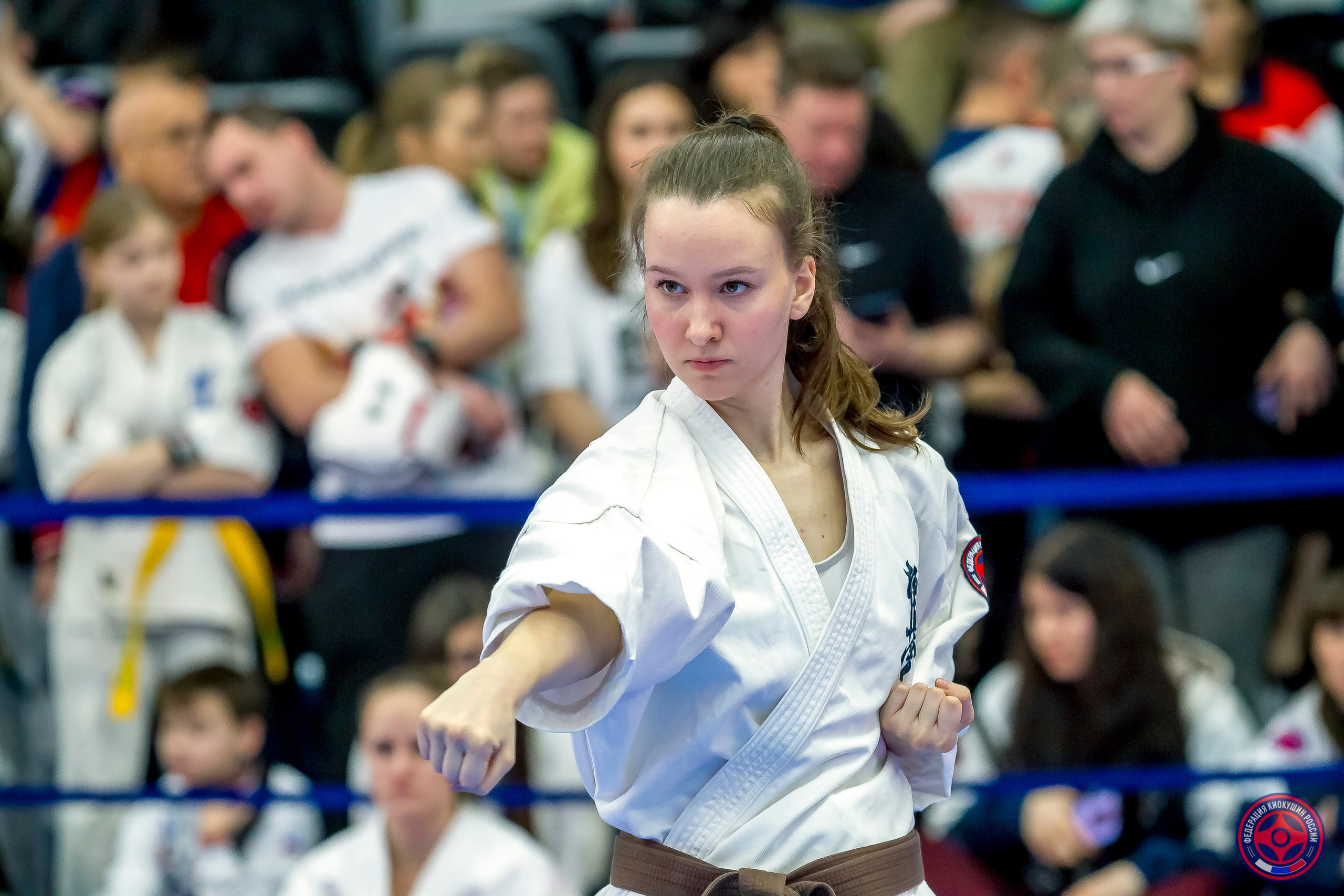 Международный турнир по киокушин «Открытый кубок Seiken». Репортажная съемка в Москве и области. Анималистика