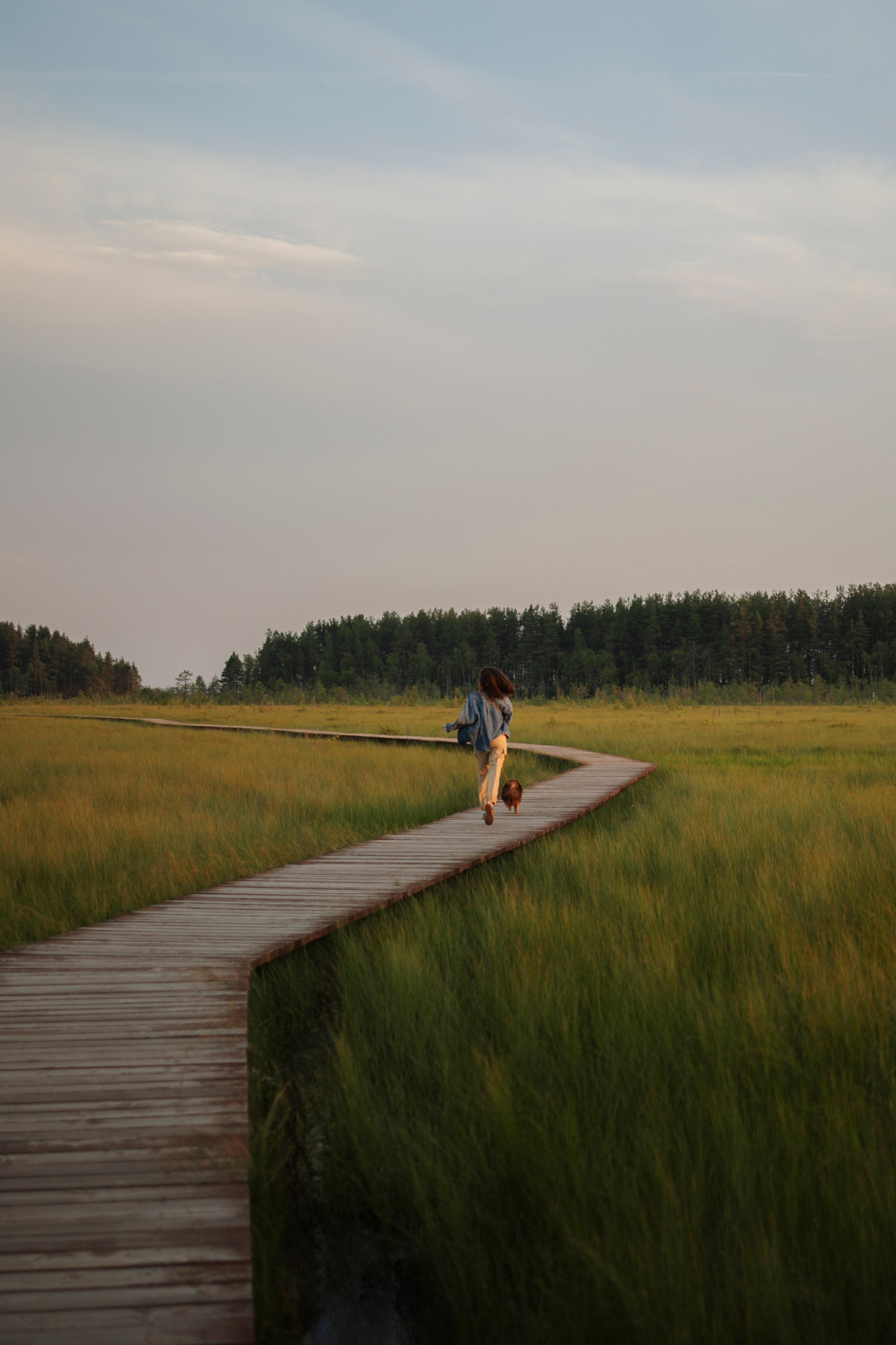 Сапфир и его семья. Фотограф-анималист в Санкт-Петеребурге Титова Алиса