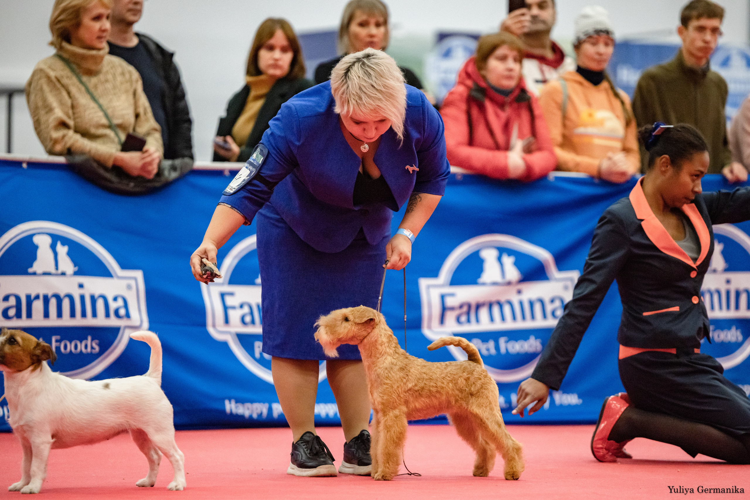 Нижний Новгород 21-22.10.2023. Фотограф-анималист Юлия Германика