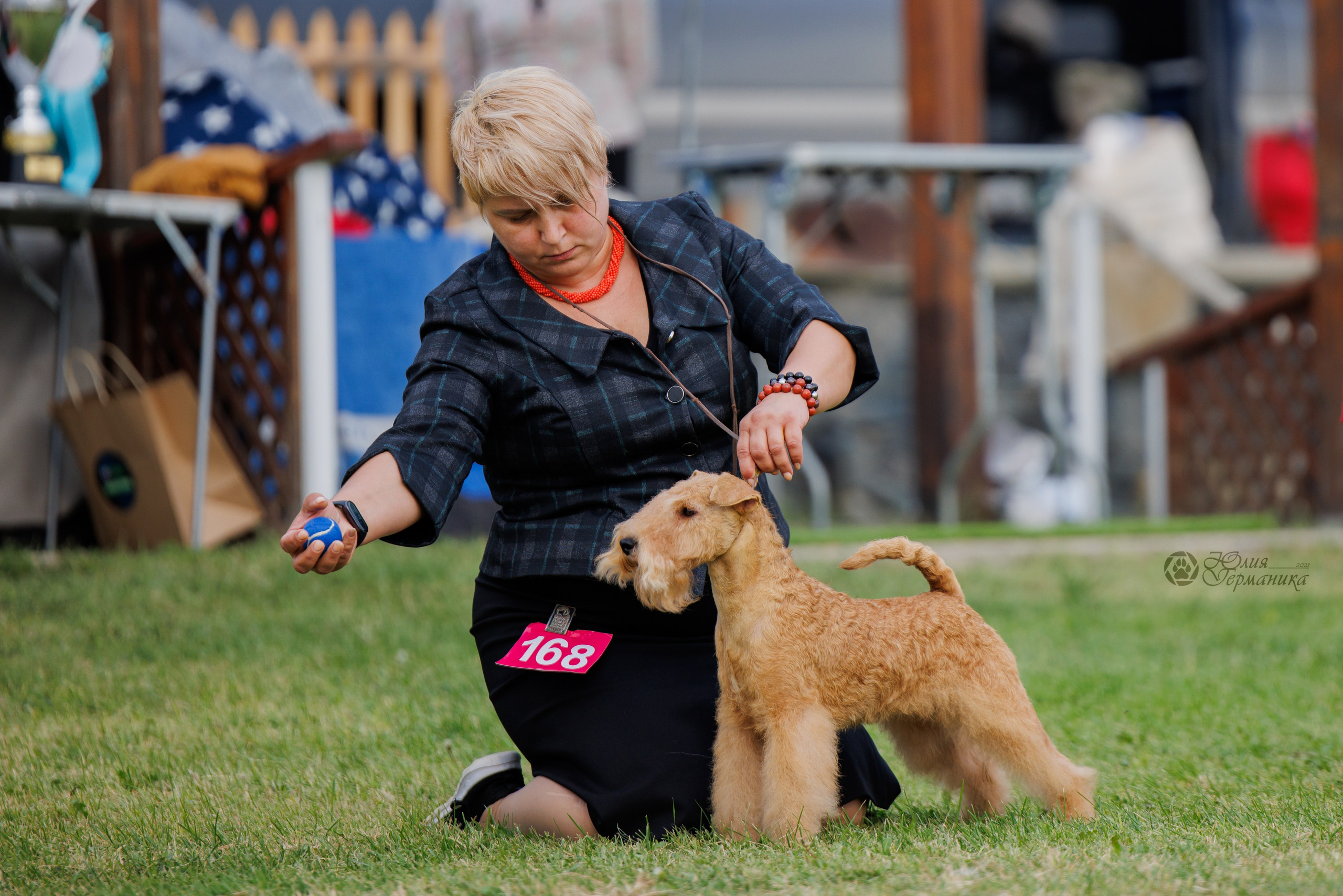 Армения,Ереван 3хCACIB 15-17.10.2024. Фотограф-анималист Юлия Германика