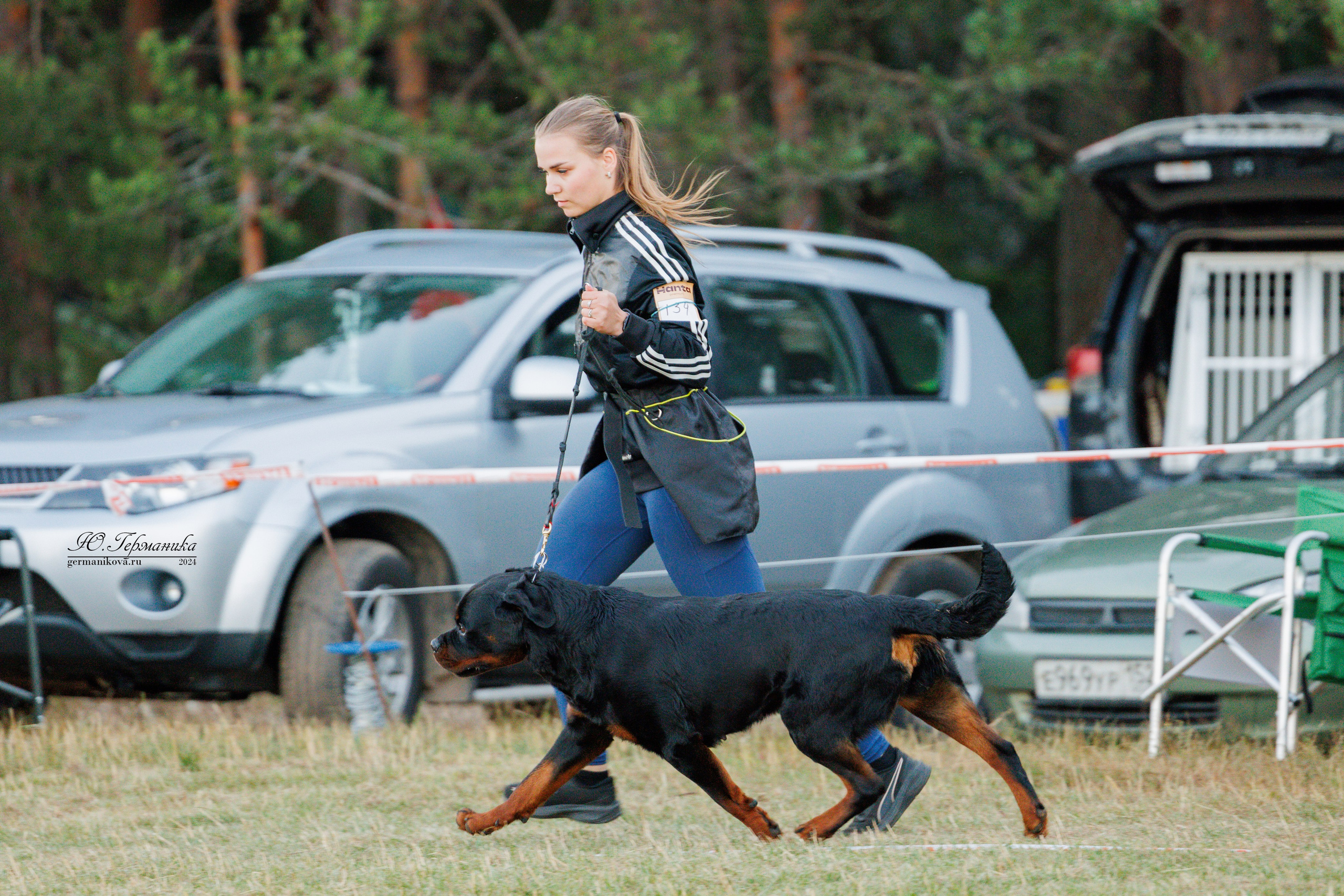 ПК и КЧК ротвейлеры Тверь 6-7.07.2024. Фотограф-анималист Юлия Германика