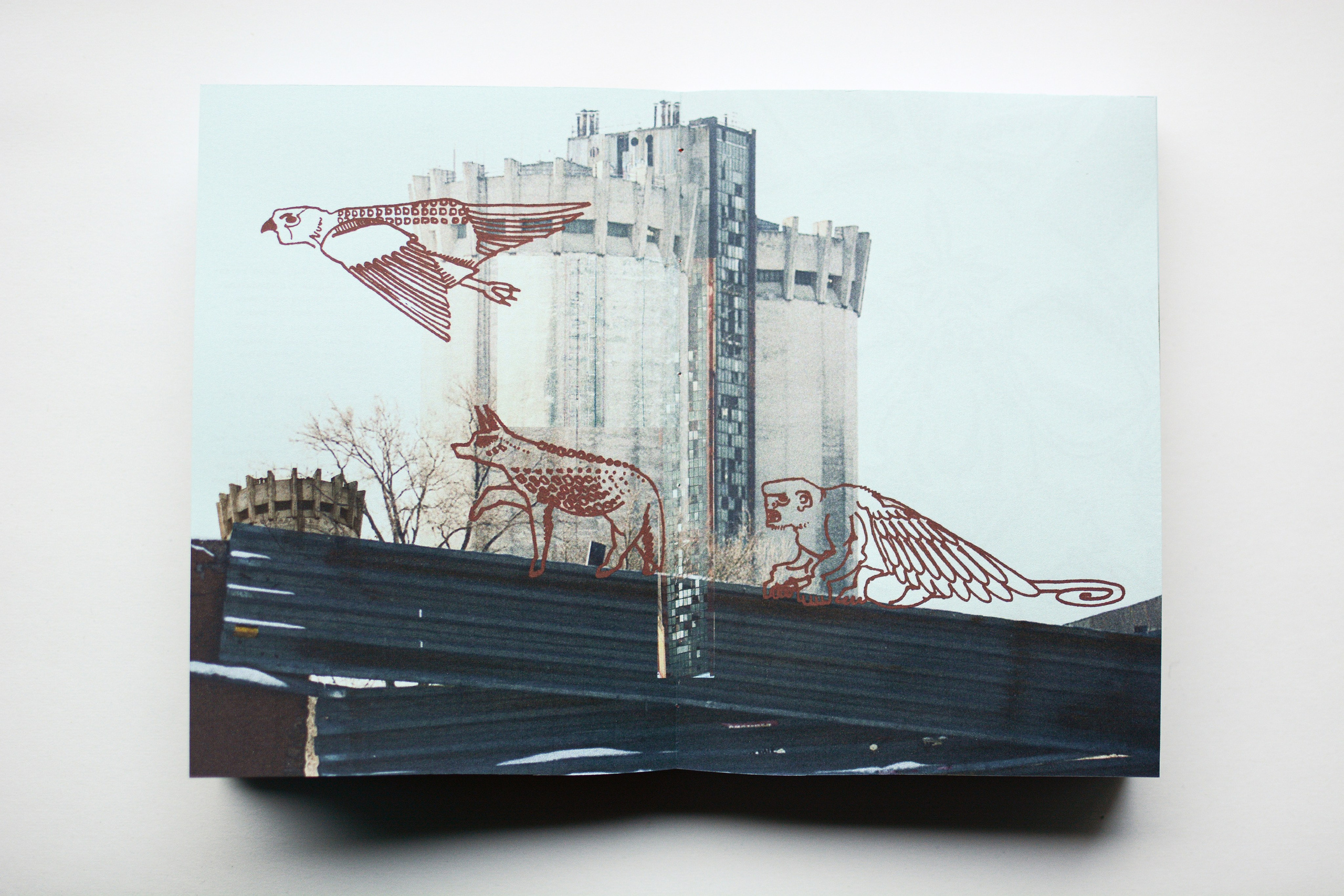 Здесь был Пиня. Андрей Карпов