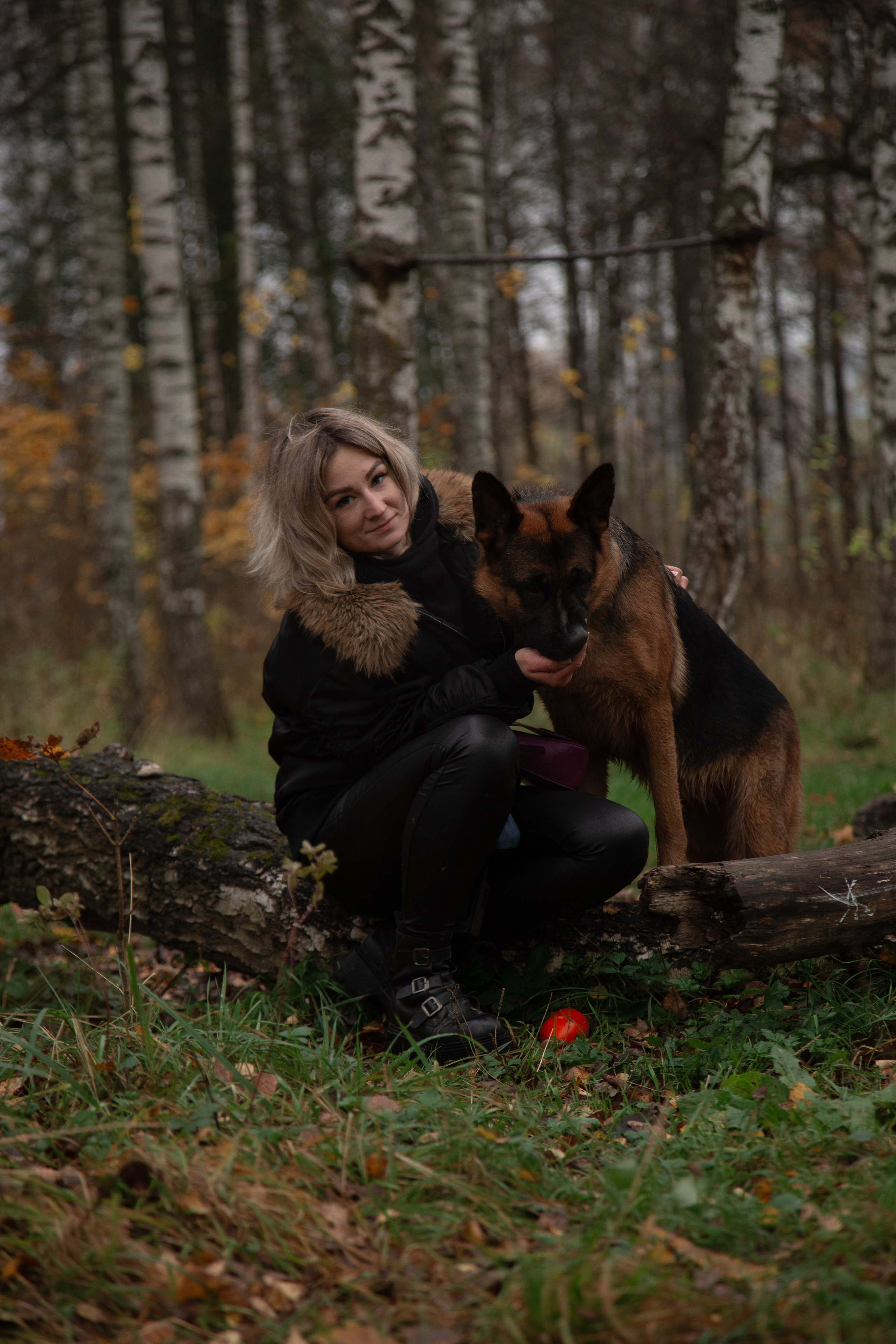Съемка питомцев. ГЛАЗА РАЗБЕГАЮТСЯ