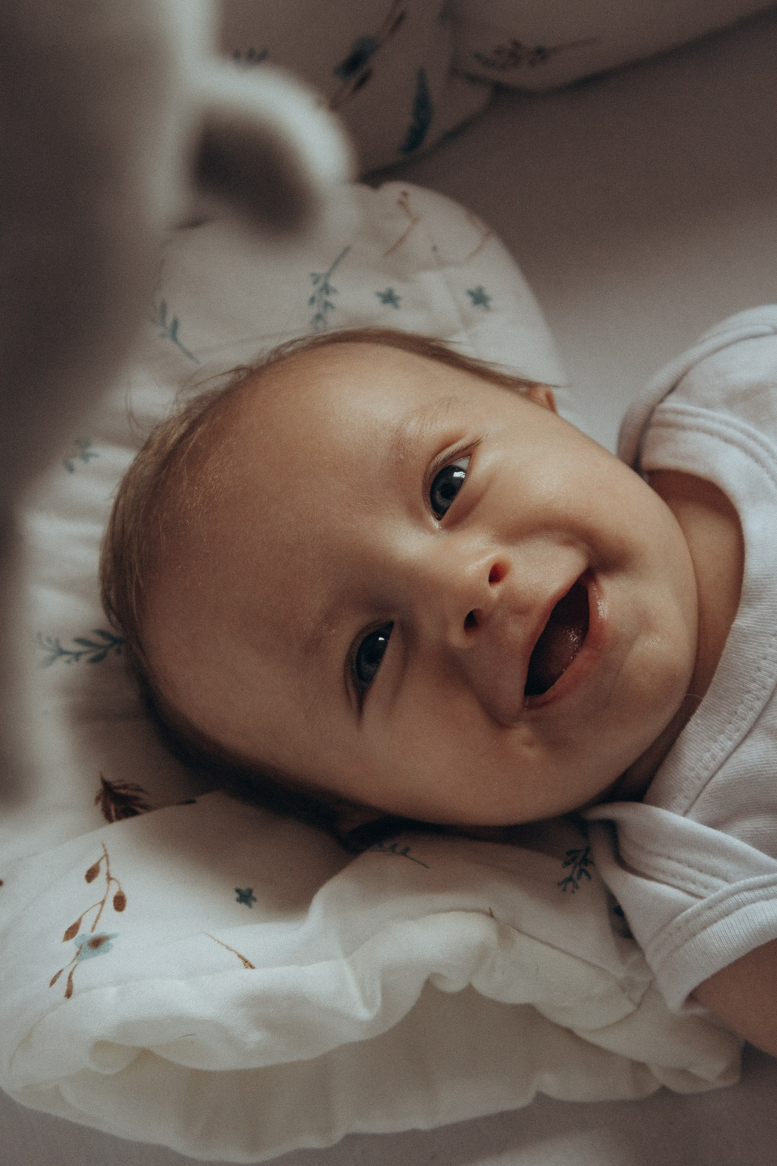 Наш маленький мир. Фотограф Москва Алёна Суворова