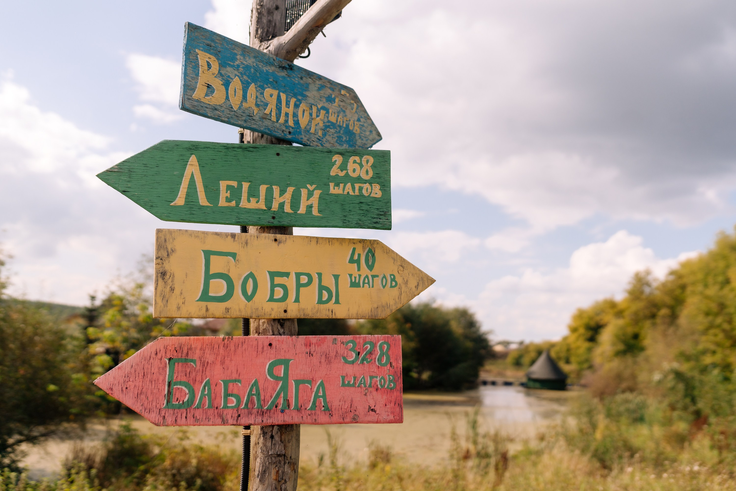 Дневные события. Geometria