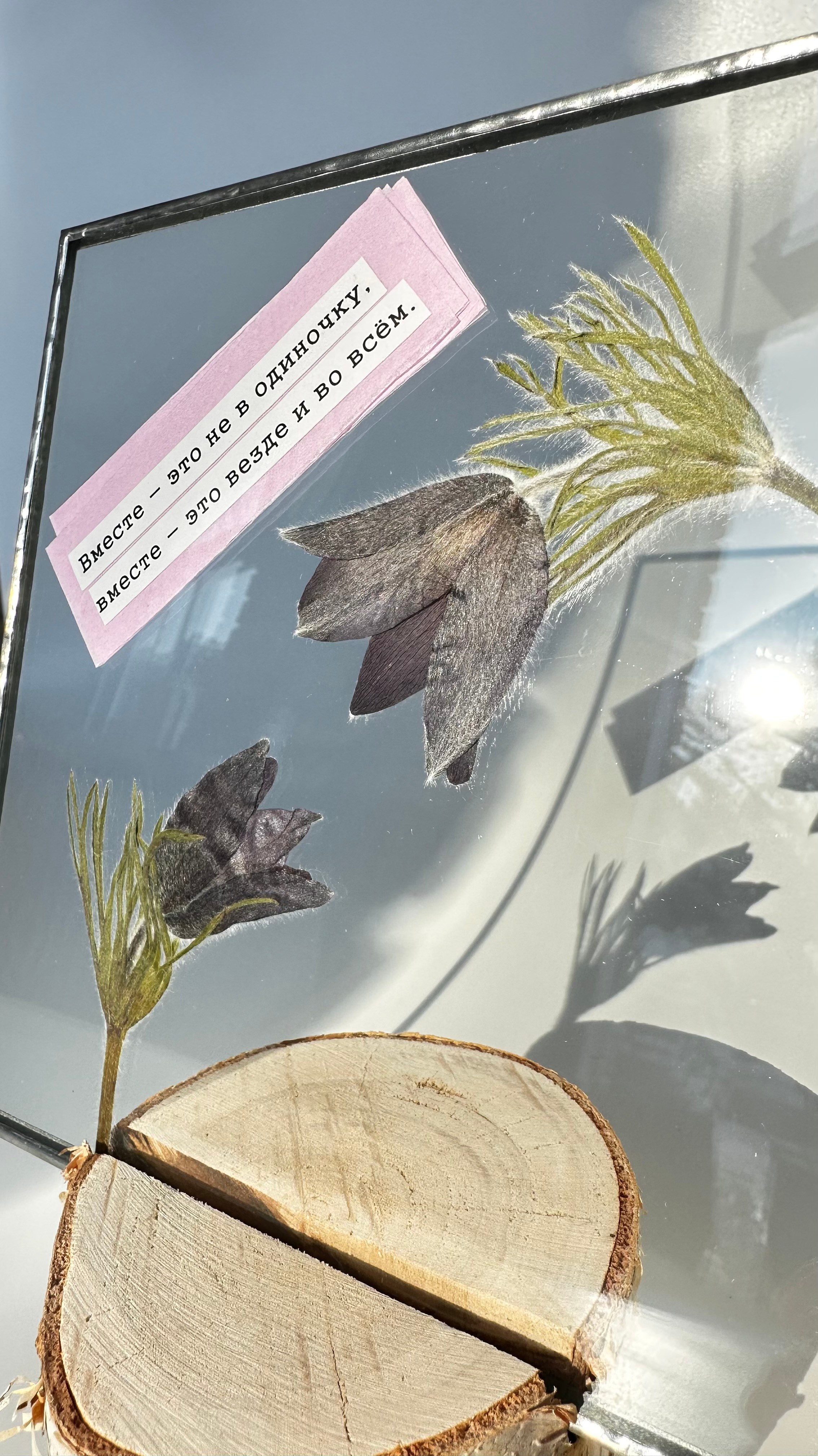 Гербарий в стекле с сухоцветами (витраж в технике тиффани). Гербарий в стекле, интерьерные панно, витражи с сухоцветами в технике тиффани