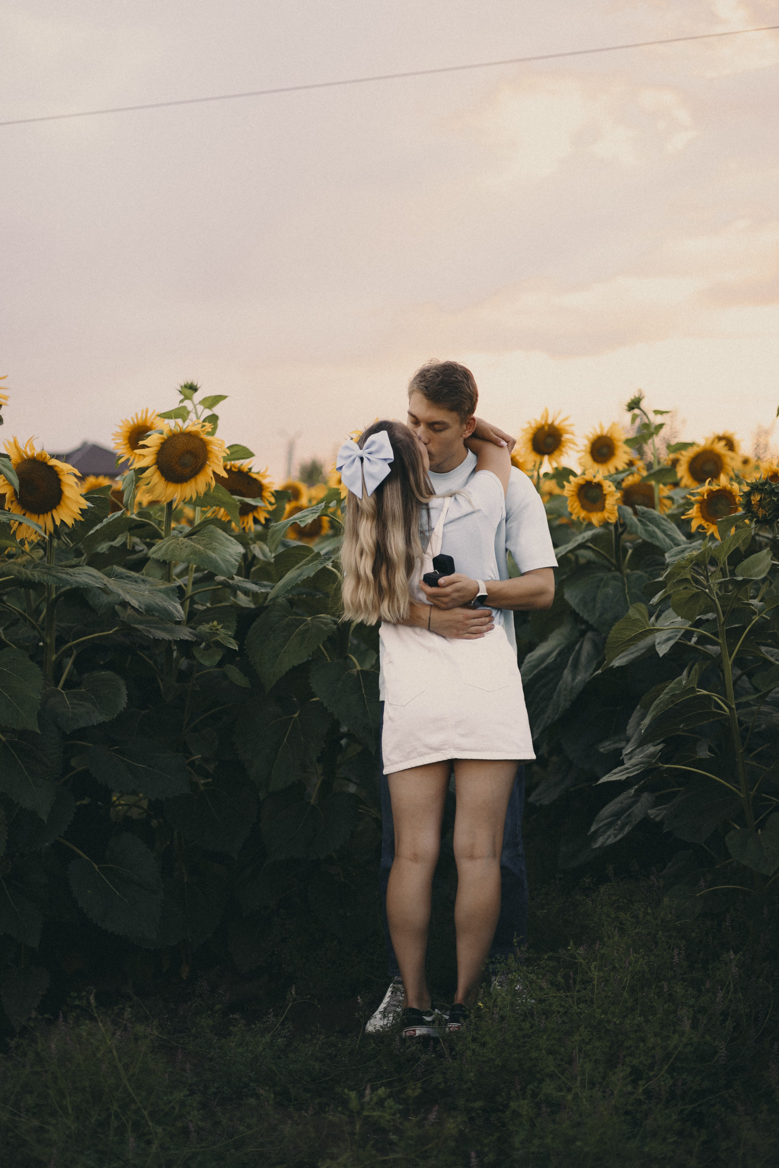 Михаил и Валерия | Подсолнухи. Фотограф Мария Лаенко