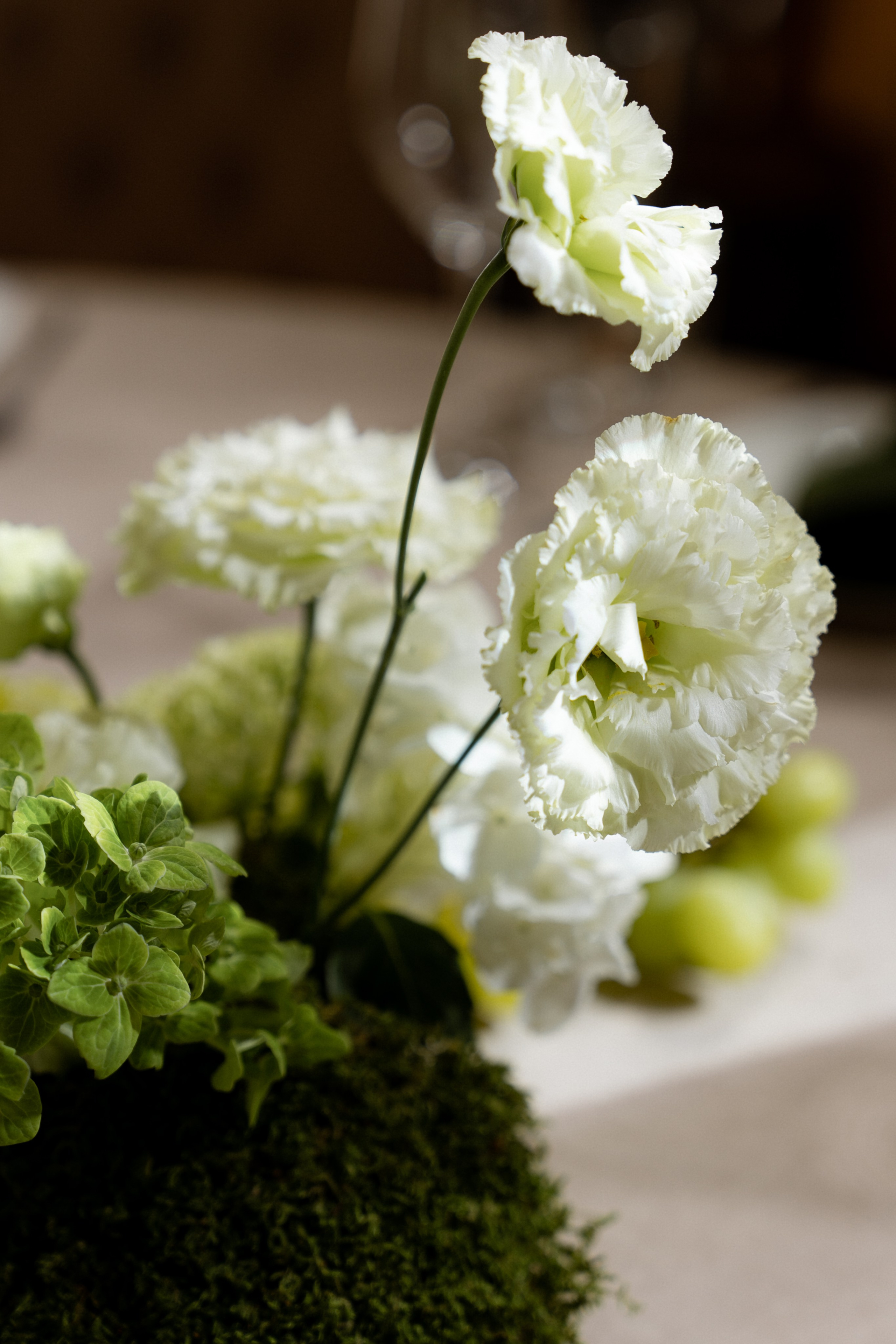 Гермес. Л+Н. Полный день (сокращено). Семейный и портретный фотограф в Саратове Сахарова Маша