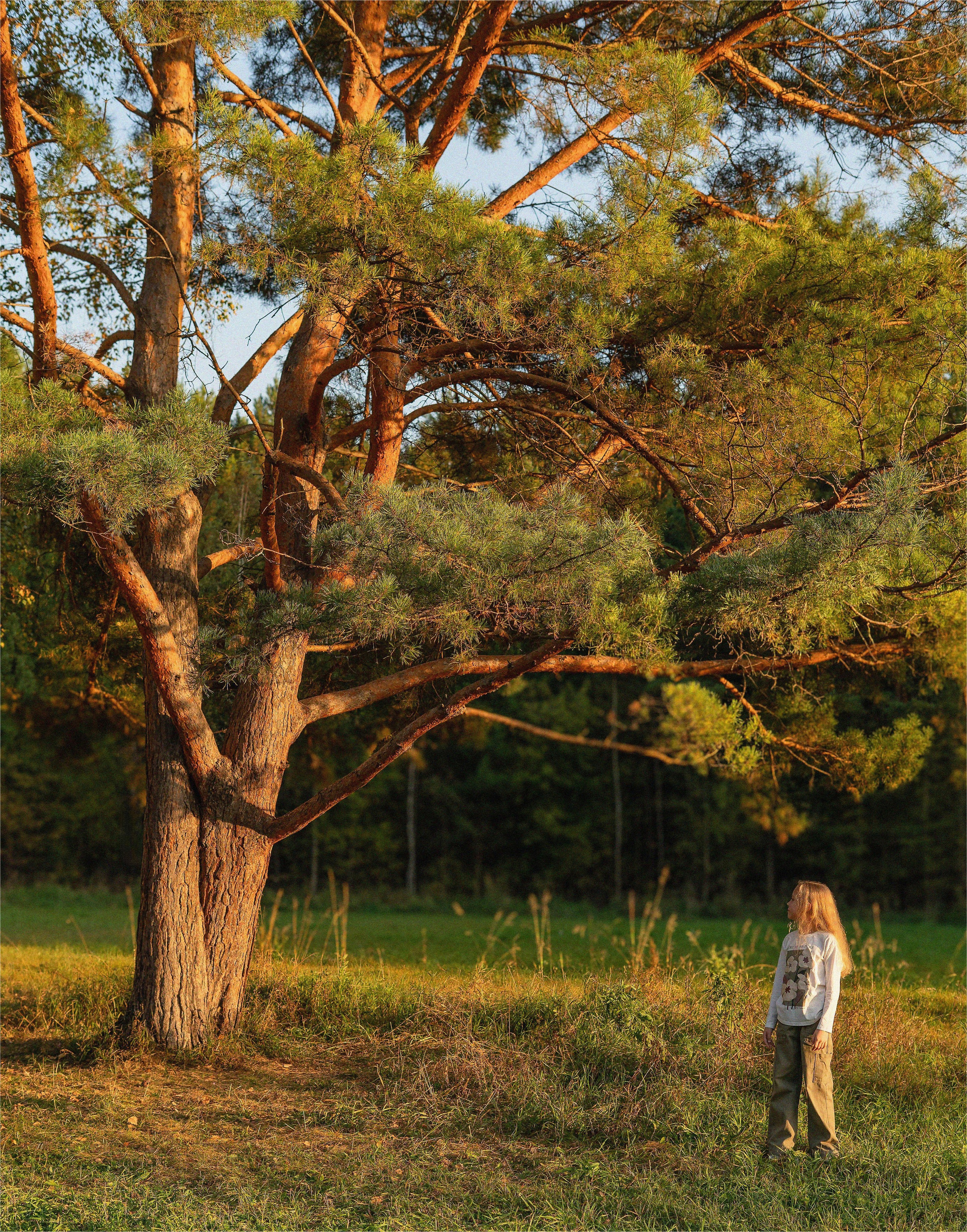 Фотосессия на природе Новосибирск Краснообск
