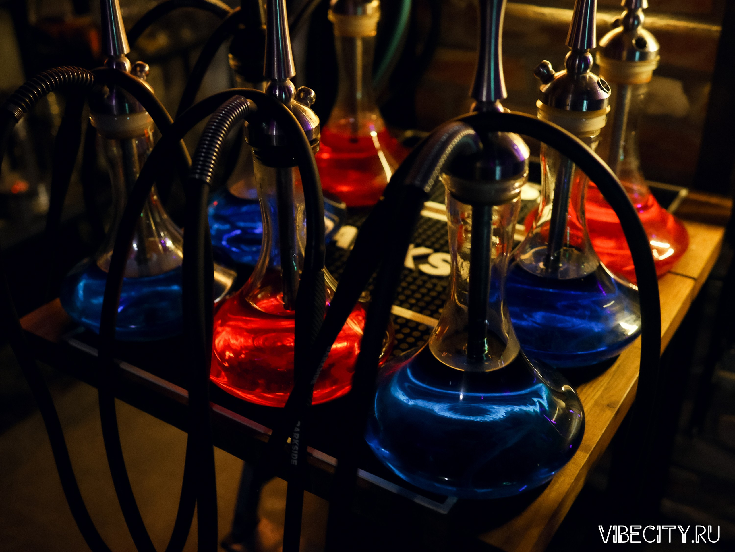 Мята Lounge. VIBECITY.RU Вайб Сити Ру Фоторепортажи Фотоотчеты Калининград