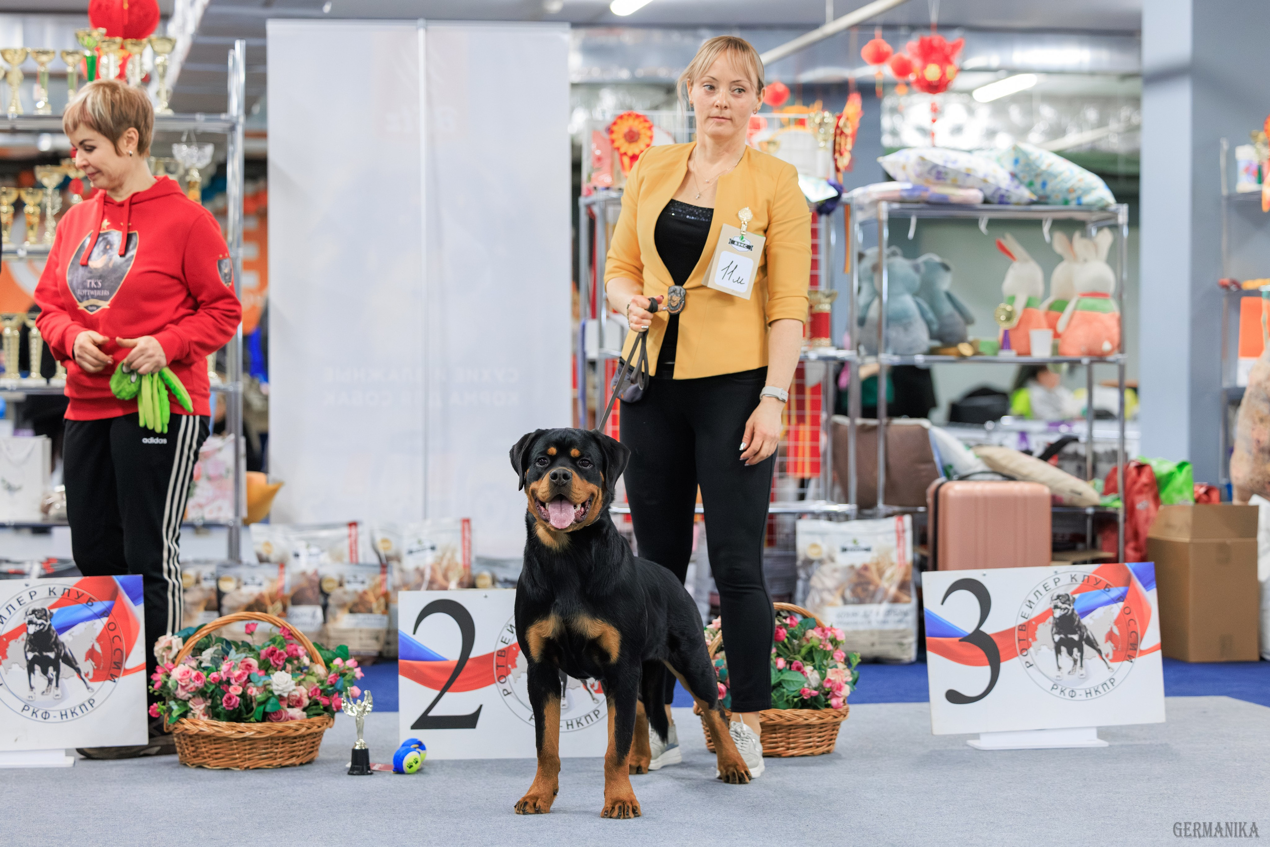 Сфера 08 и 10.03.2024 2хмоно ротвейлеров+2хмоно сао. Фотограф-анималист Юлия Германика