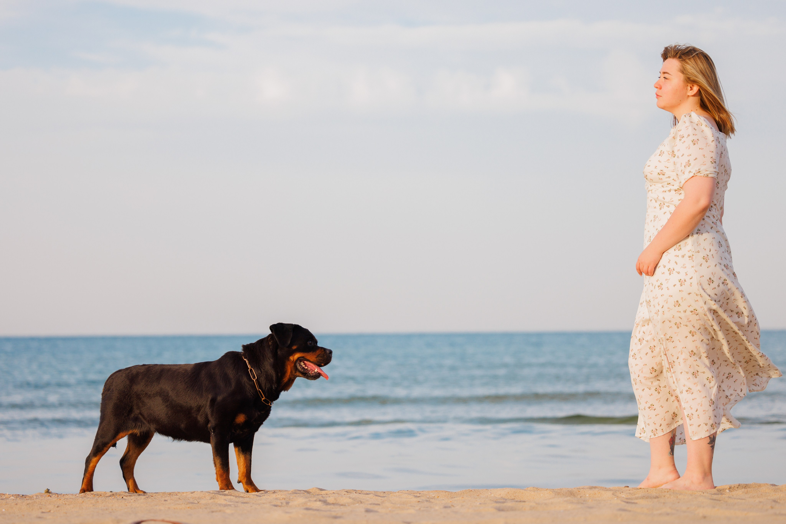 Свободная съемка. Фотограф-анималист Юлия Германика