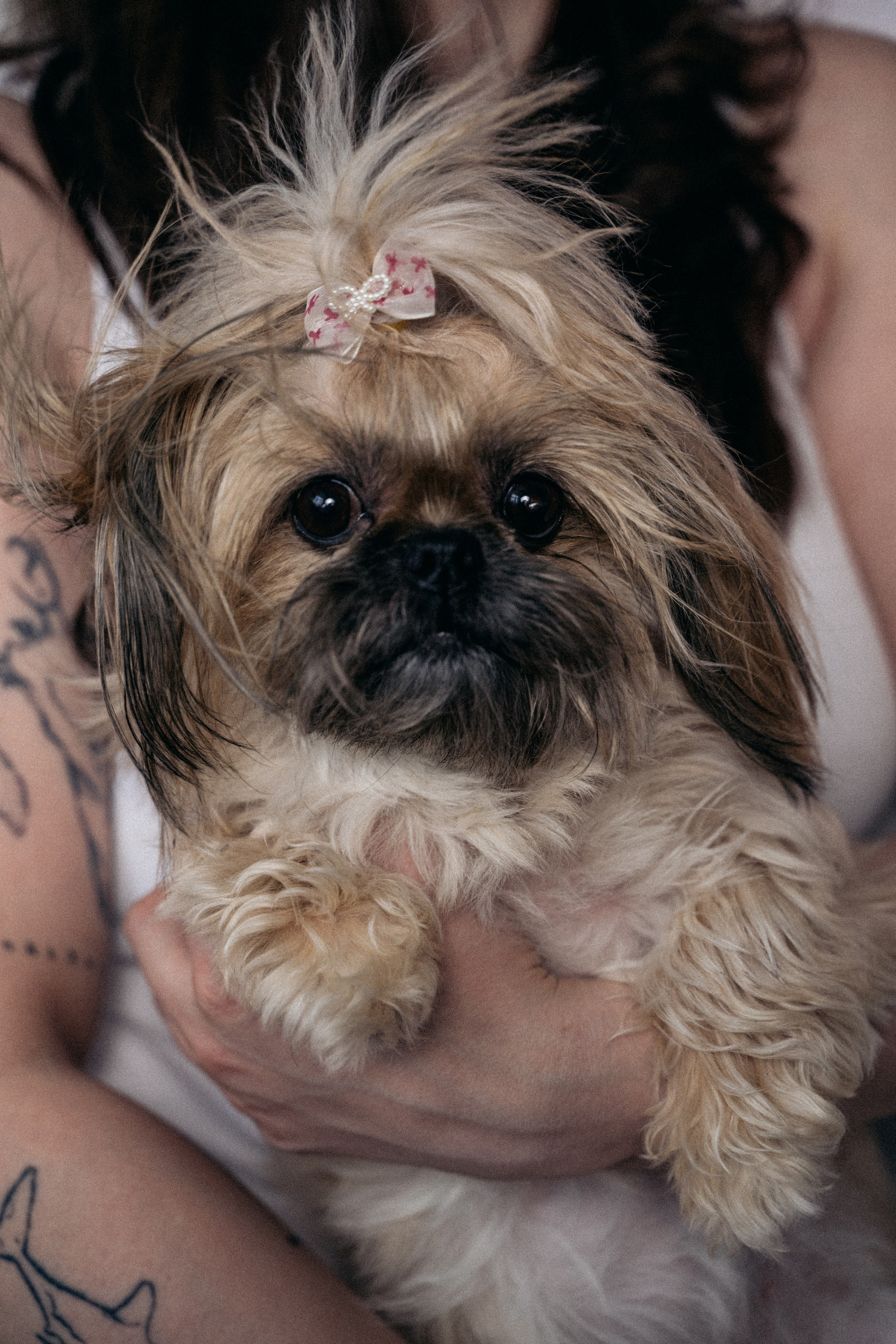 Душа моей души. Главная