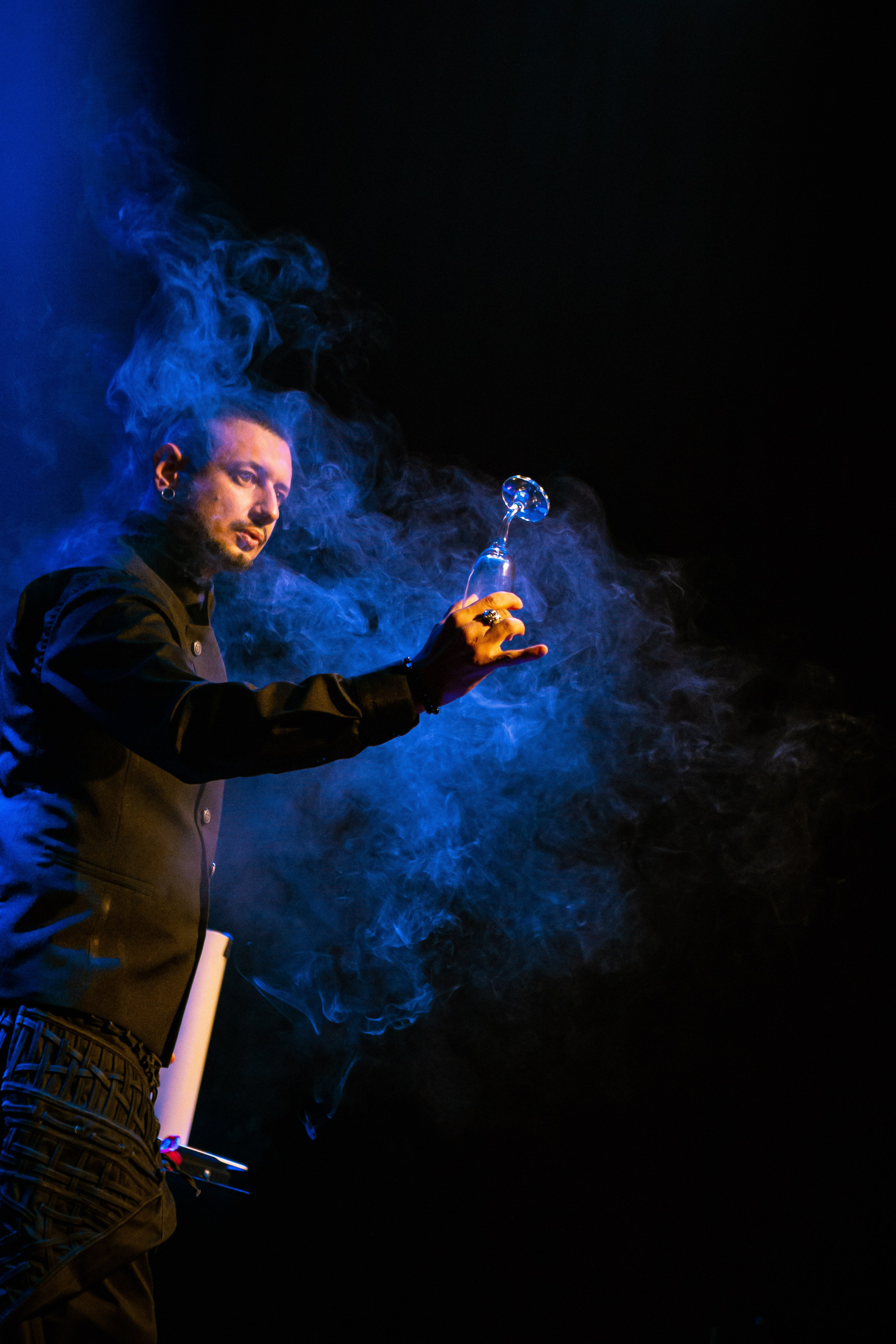 Цирковое шоу. Видеограф Добромыслов