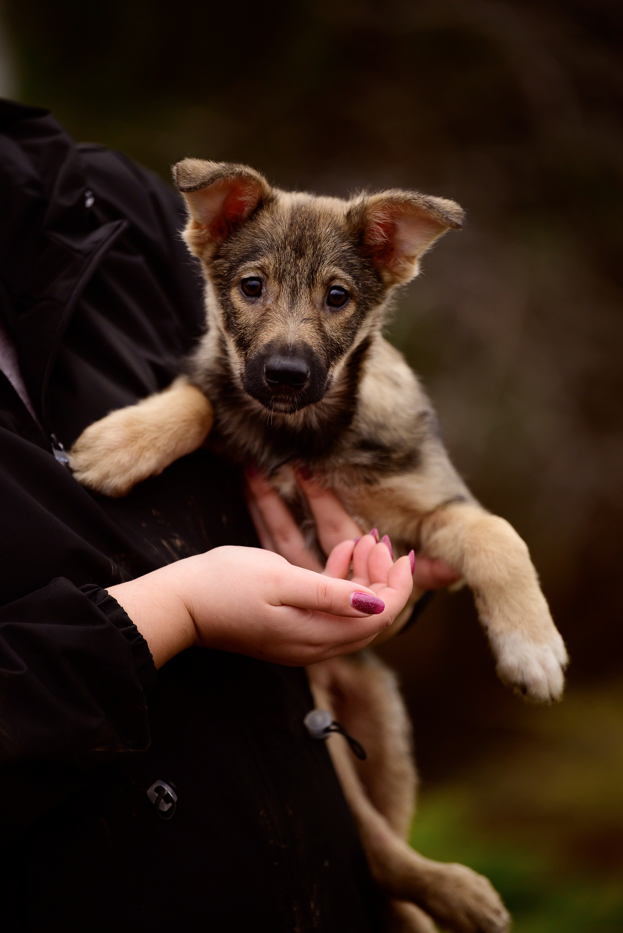 Круассанчики. Мила Астахова