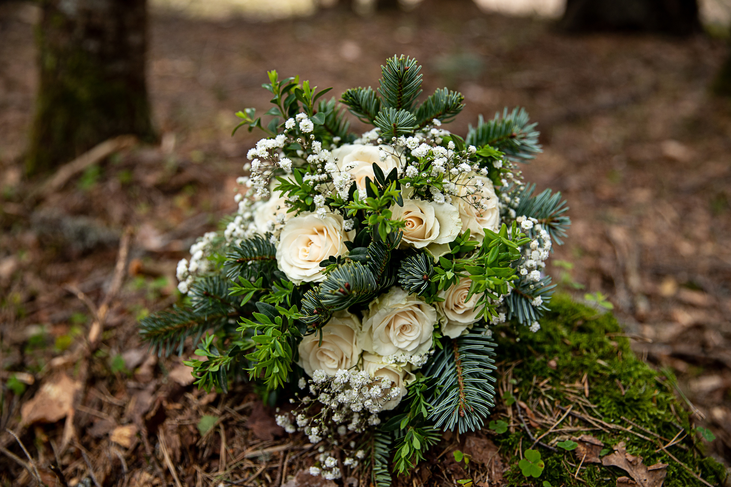 Где-то в горах. Фотограф Матвеева Татьяна