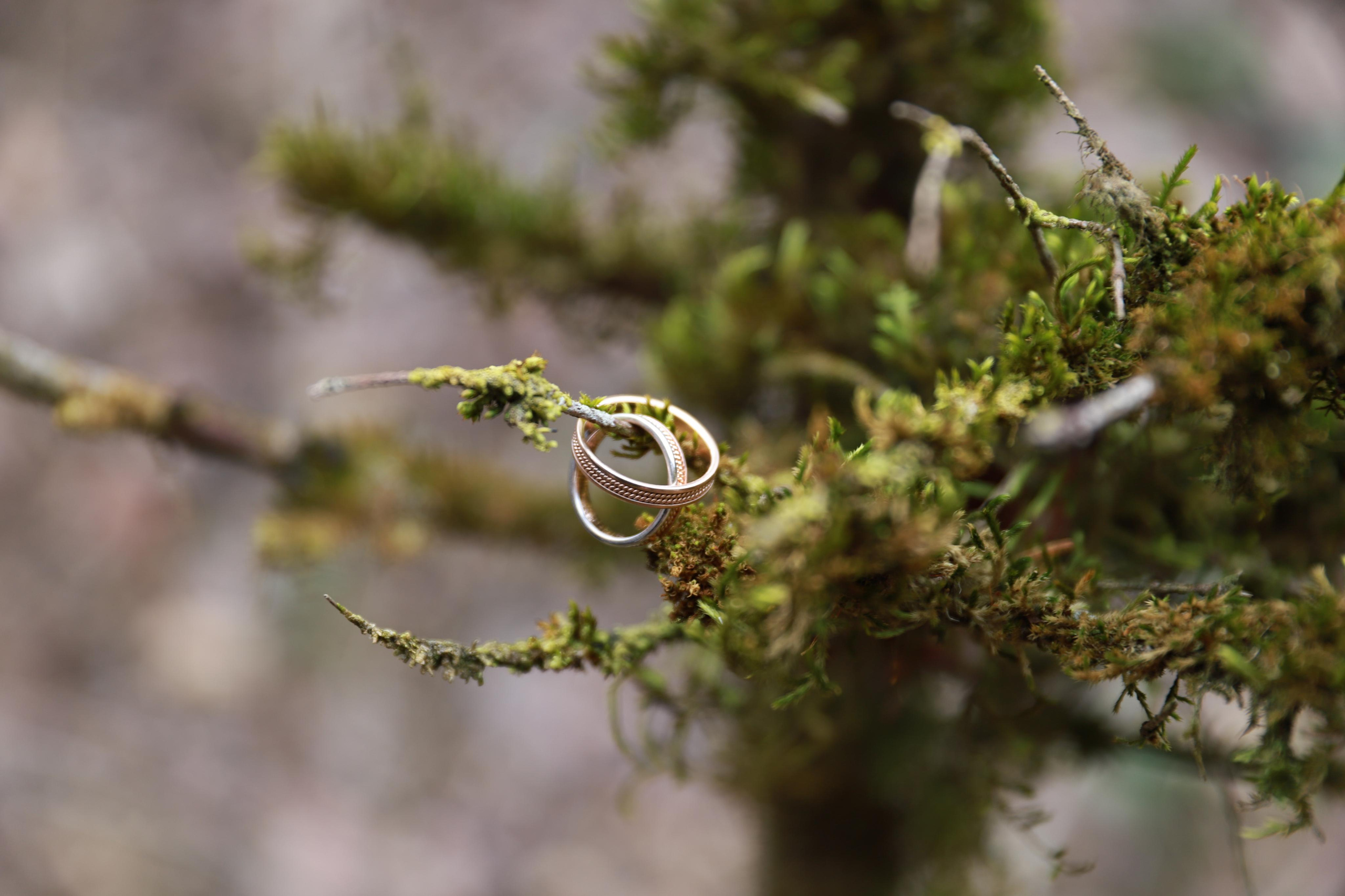 Годовщина любви. Фотограф Матвеева Татьяна