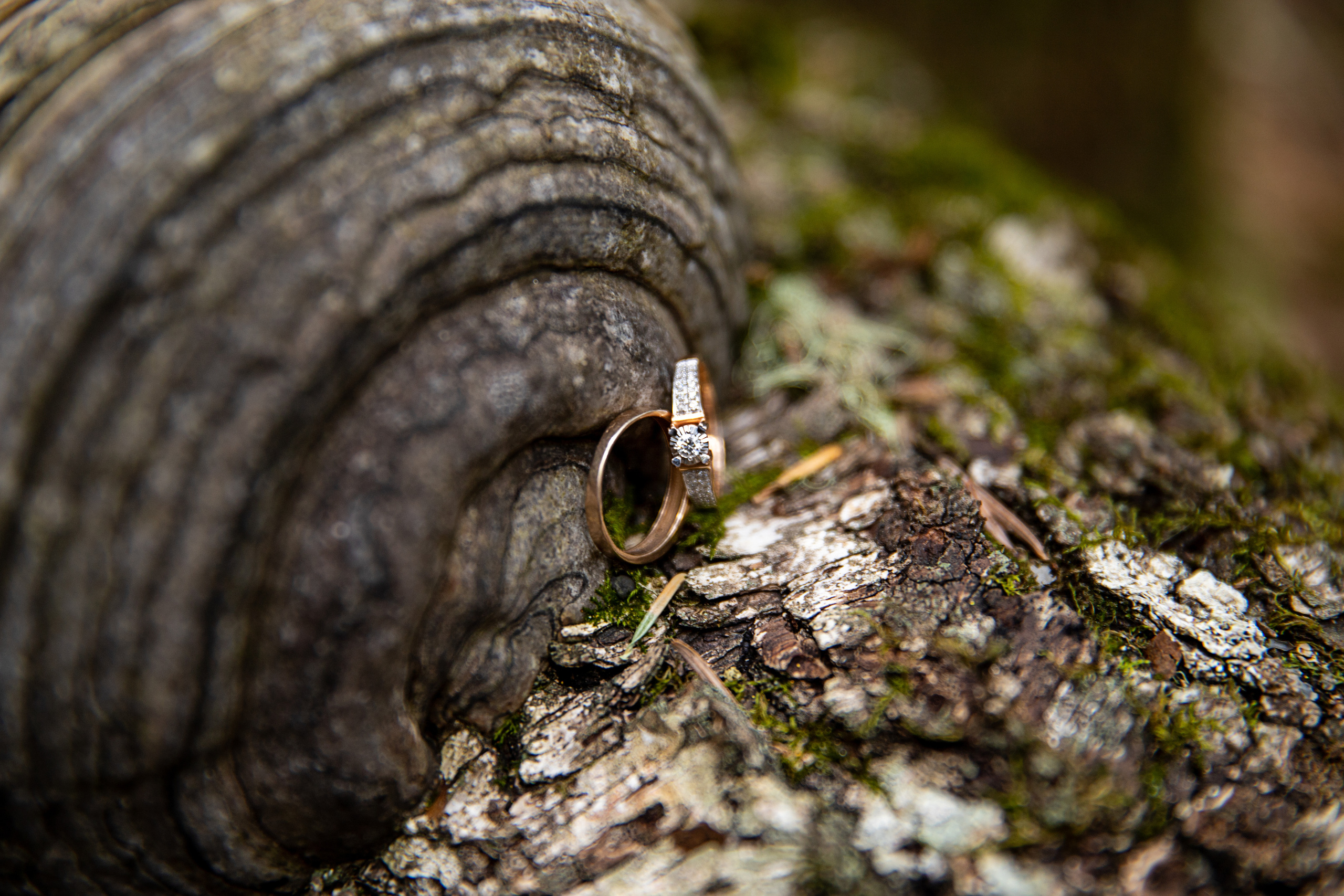 Где-то в горах. Фотограф Матвеева Татьяна