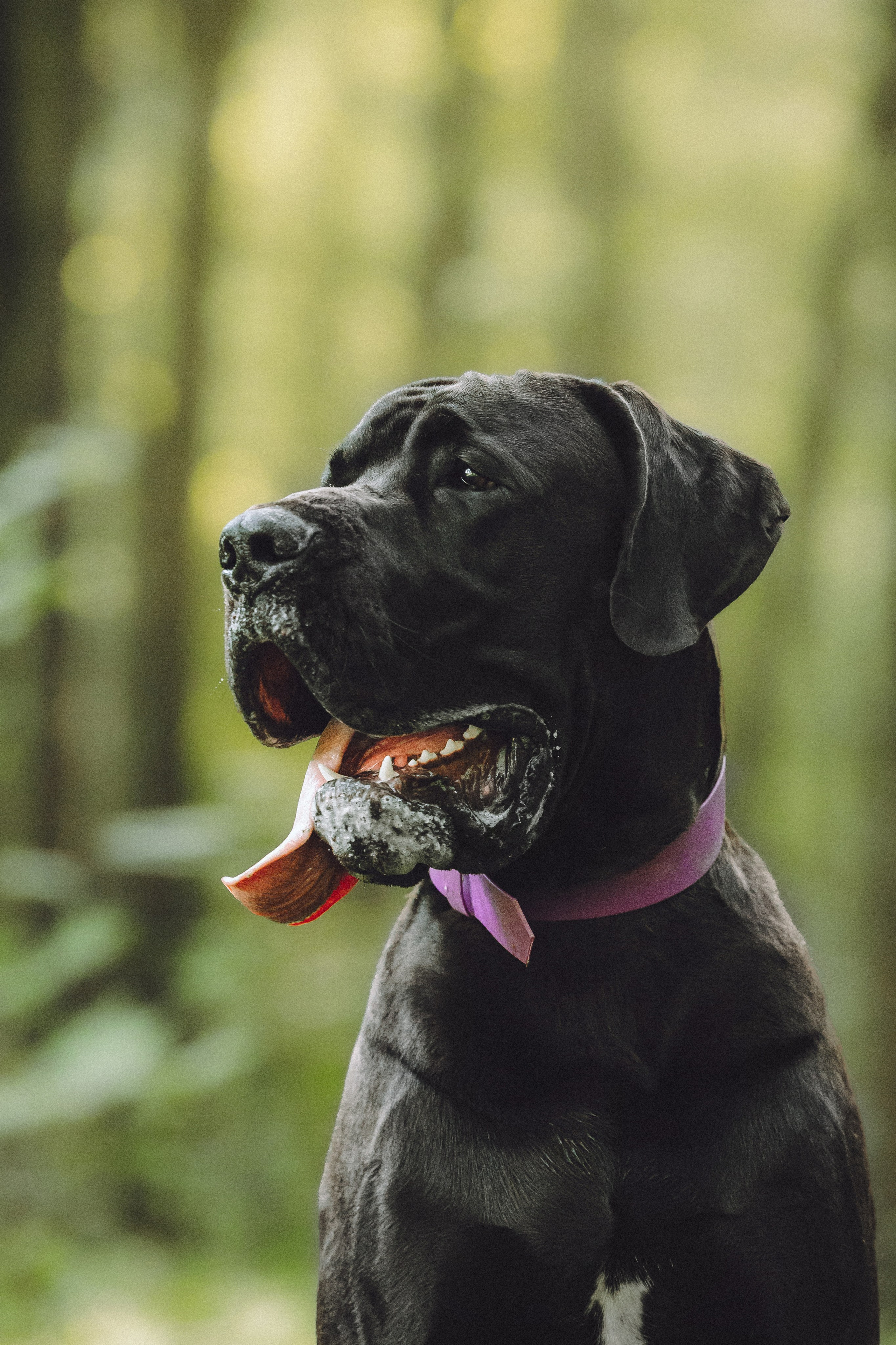 Катя, Андрей, Гектор, Ричи, Тортик и Трой