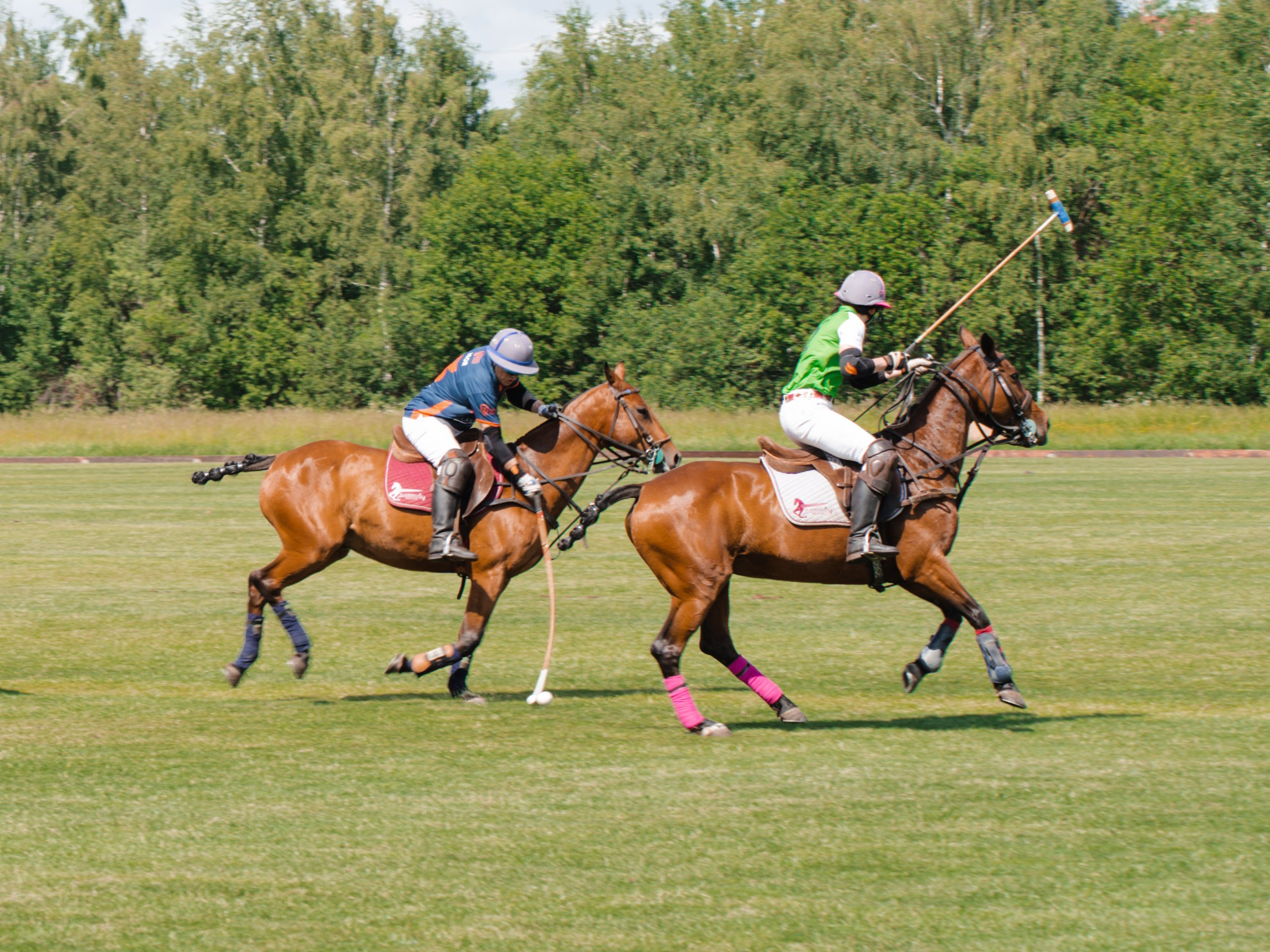 Конное поло. Фотограф Зинаида Евдокимова