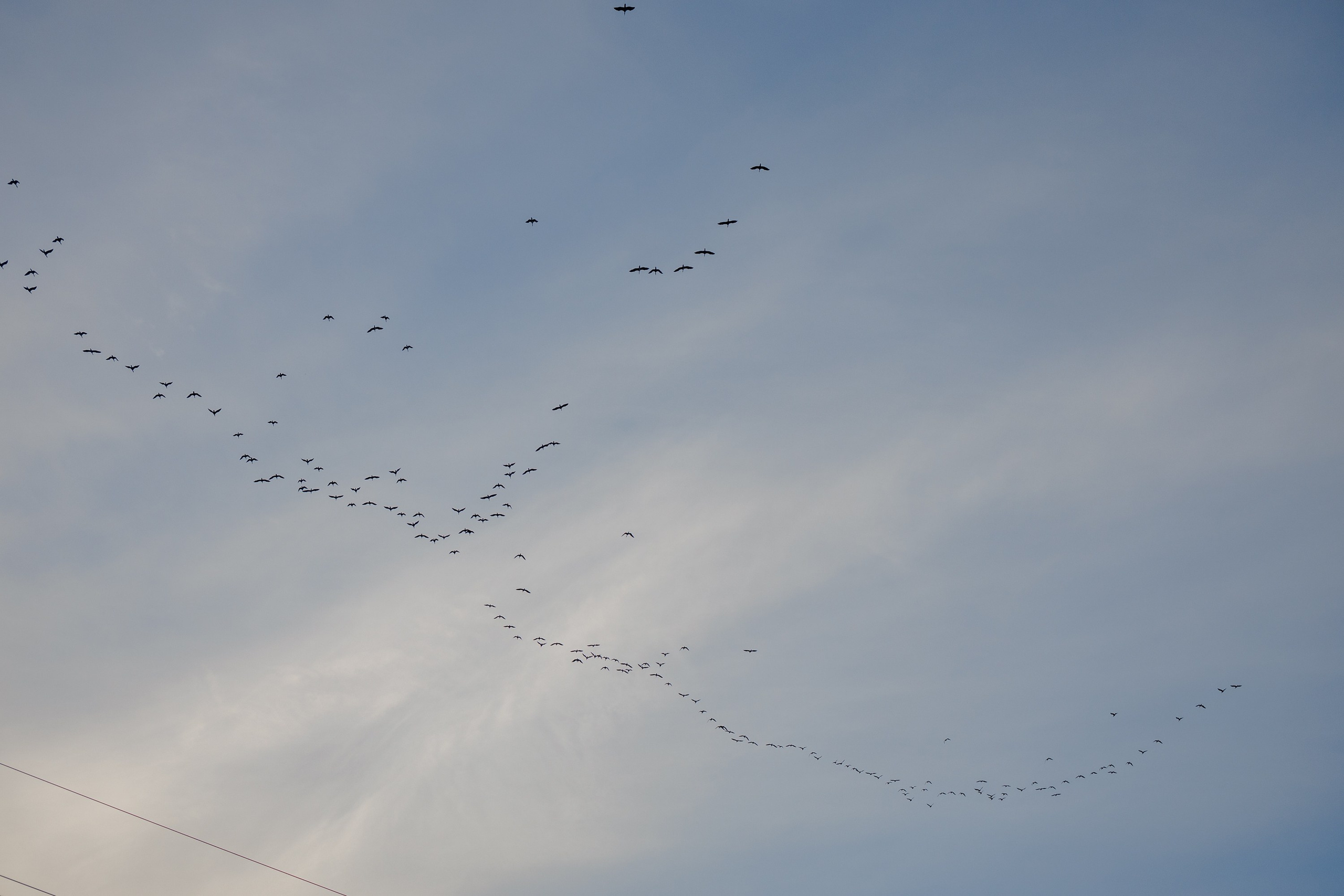 Family photoshoot in Tbilisi, Georgia. Fedor Lemeshko — Destination Wedding and Family Lifestyle photographer