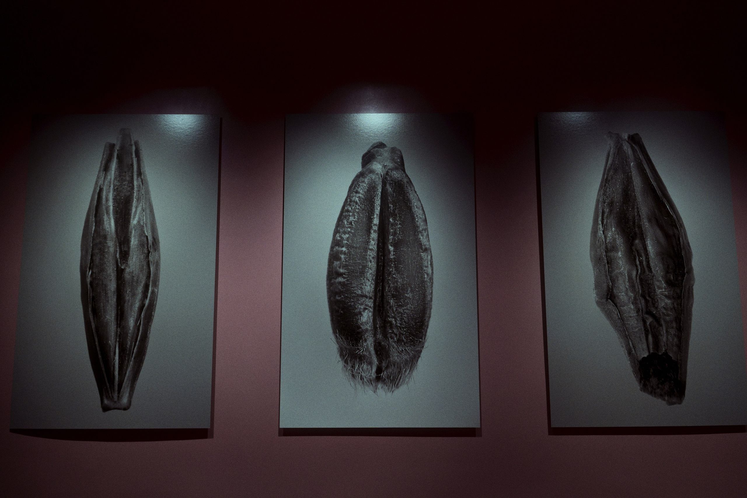 Garage MCA / “Грядущий мир: экология как новая политика. 2030–2100”. Фотограф Юрин Евгений