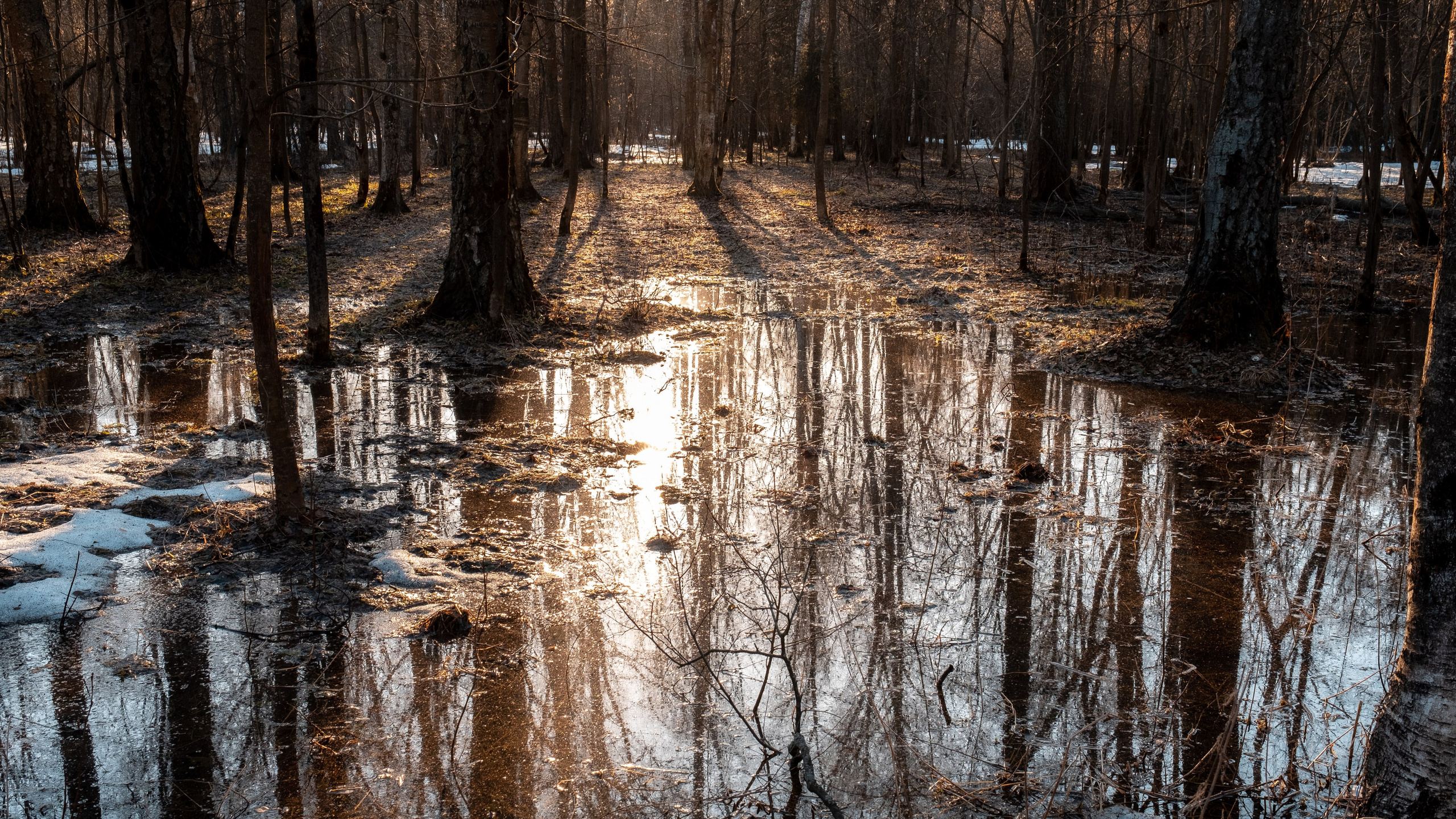 ПЕРЕДЕЛКИНО. ПОБУДЬ ЗДЕСЬ И ЦЕЛЕЕ БУДЕТ ЭТОТ МИР