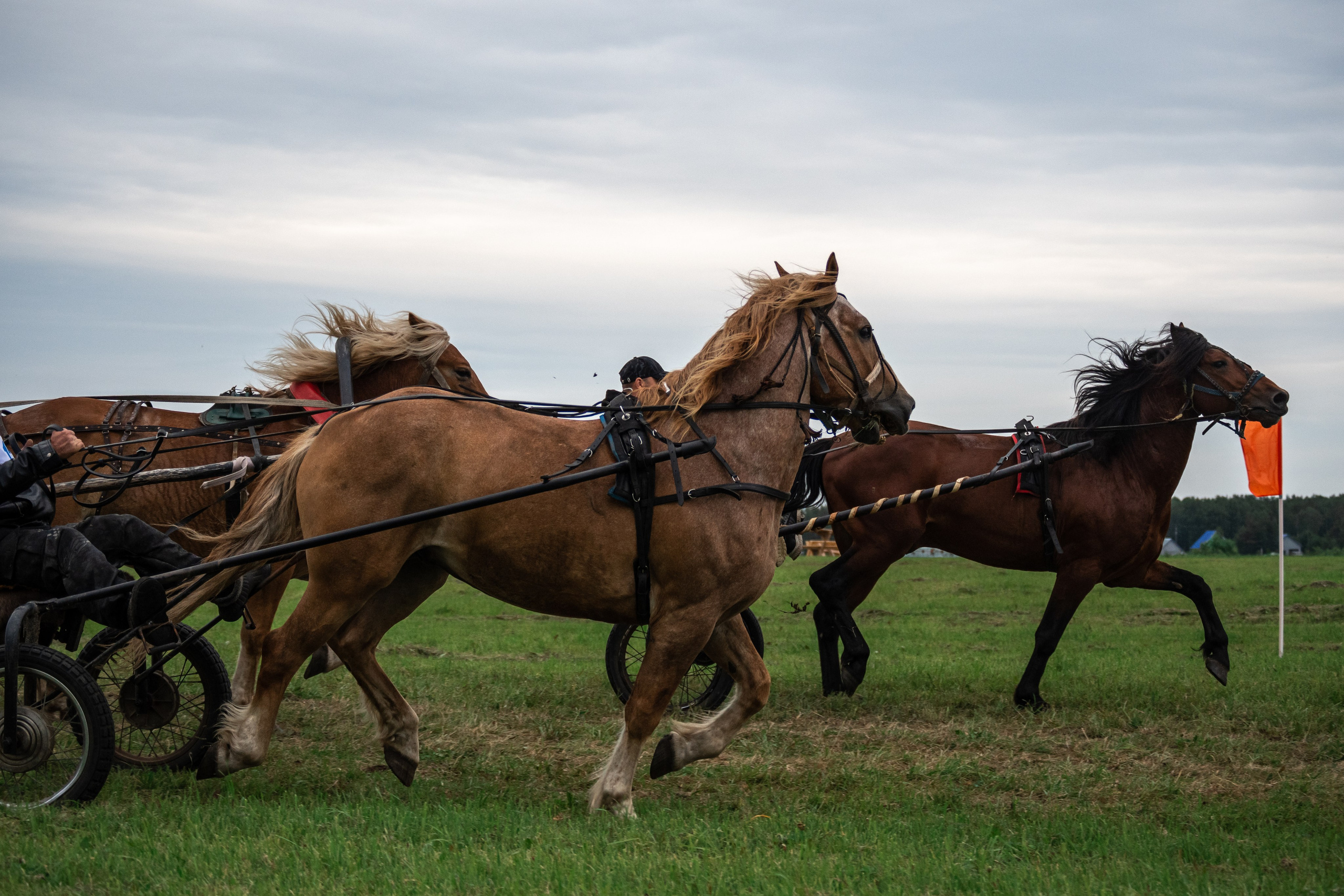 Луд 2023. Фотограф в с. Ижма Республика Коми Терентьев Сергей