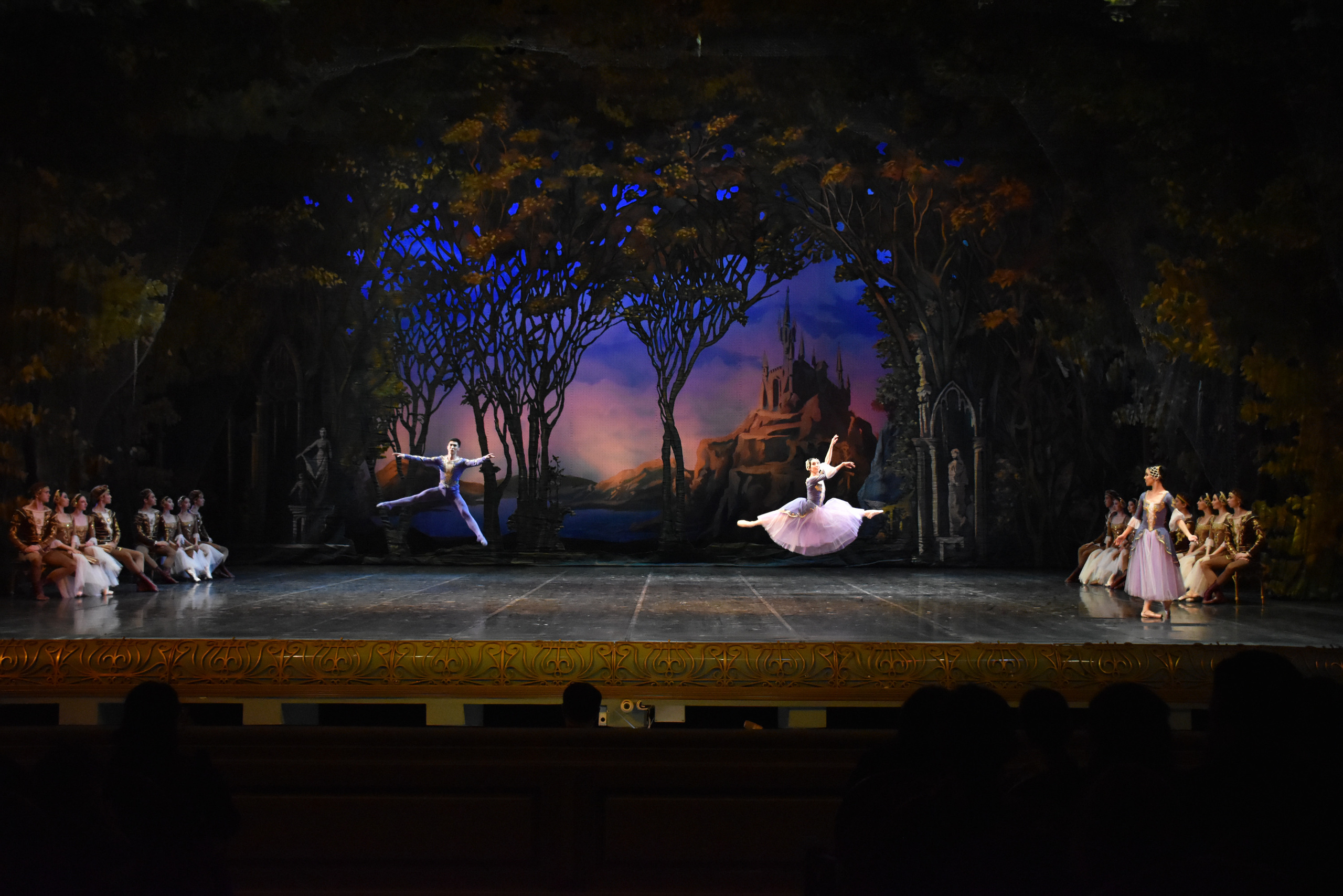 Балет «Лебединое озеро». Фотограф в Алматы