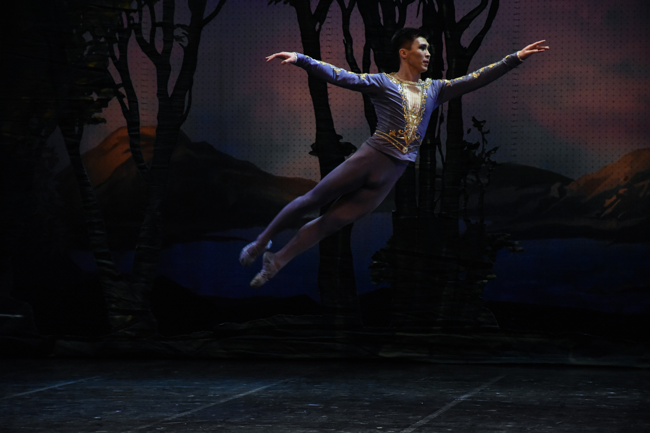 Балет «Лебединое озеро». Фотограф в Алматы