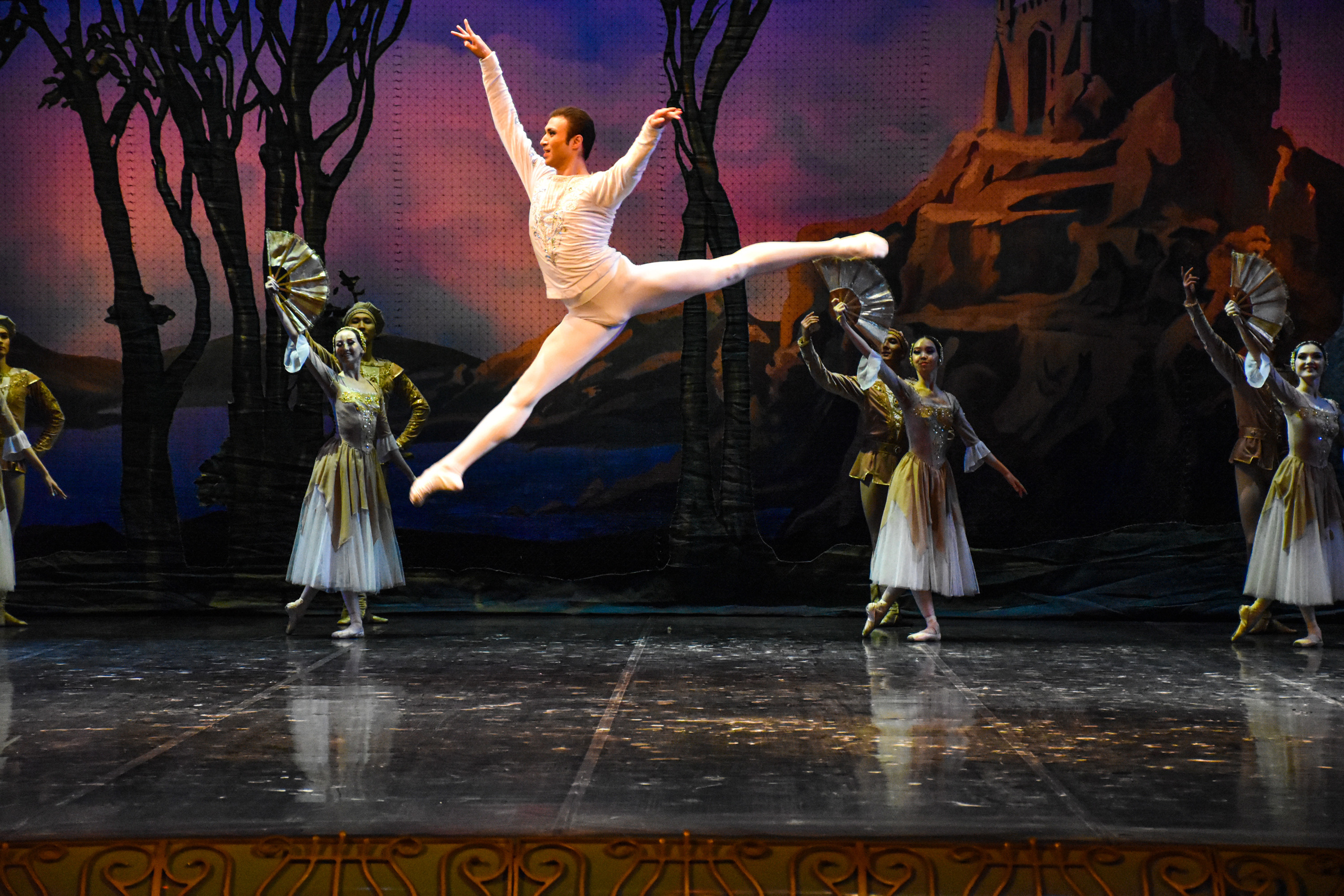 Балет «Лебединое озеро». Фотограф в Алматы