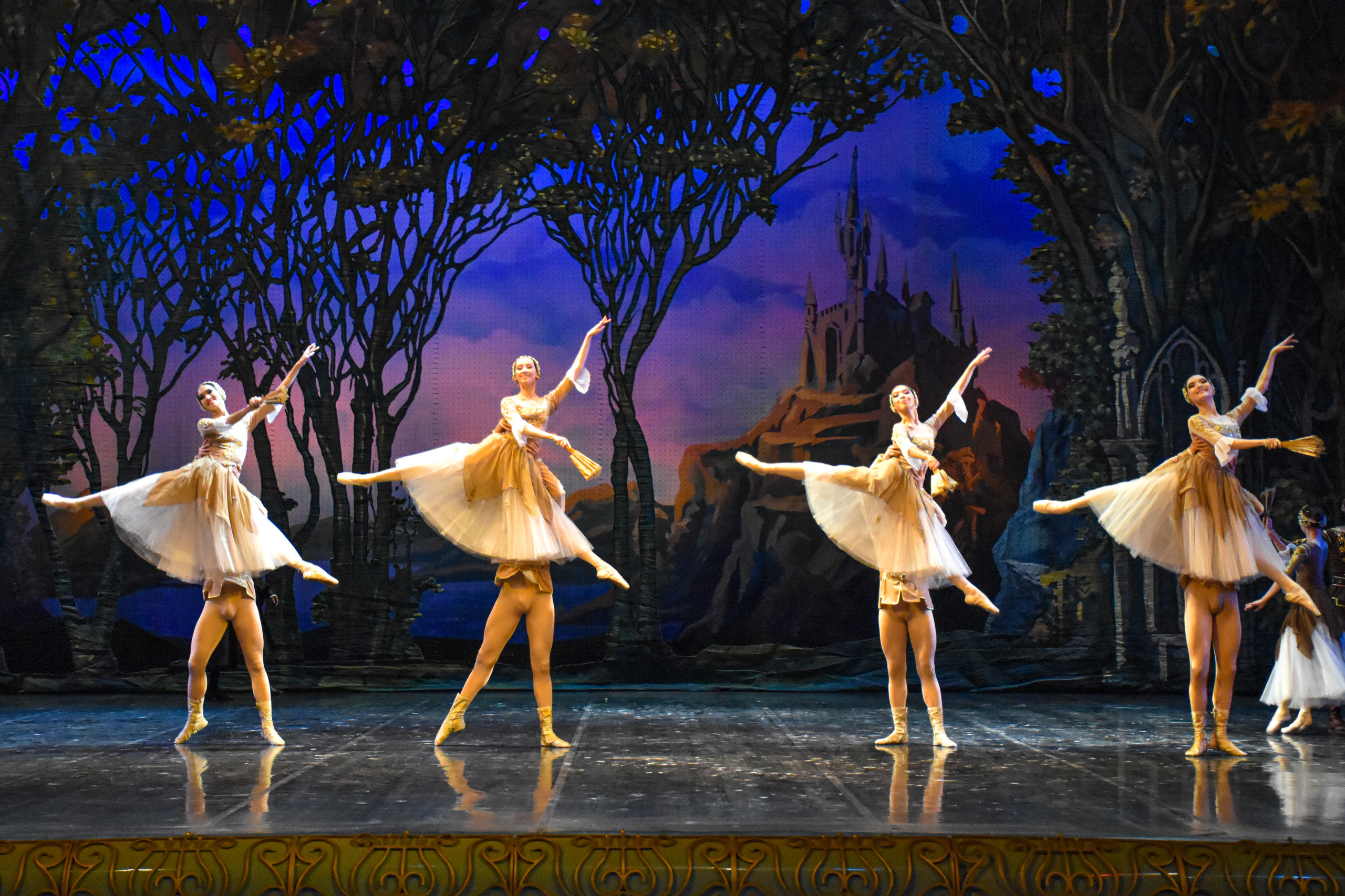 Балет «Лебединое озеро». Фотограф в Алматы