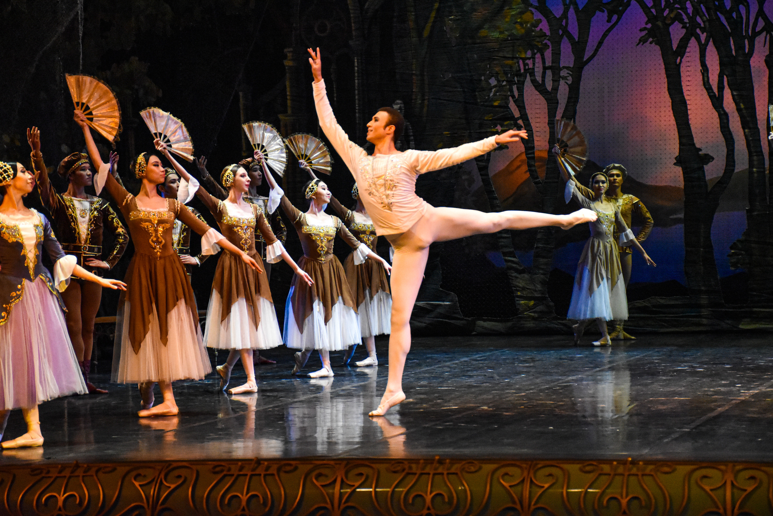 Балет «Лебединое озеро». Фотограф в Алматы