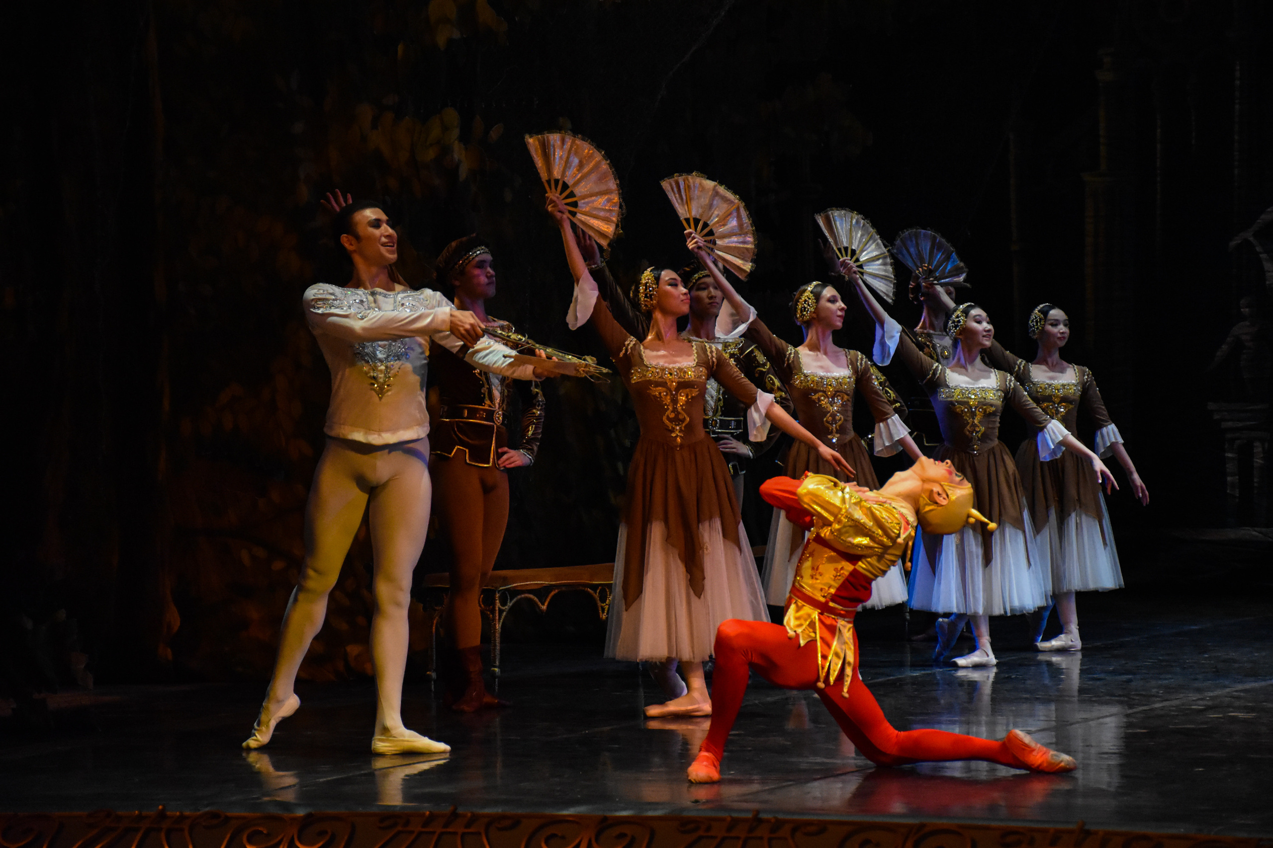 Балет «Лебединое озеро». Фотограф в Алматы