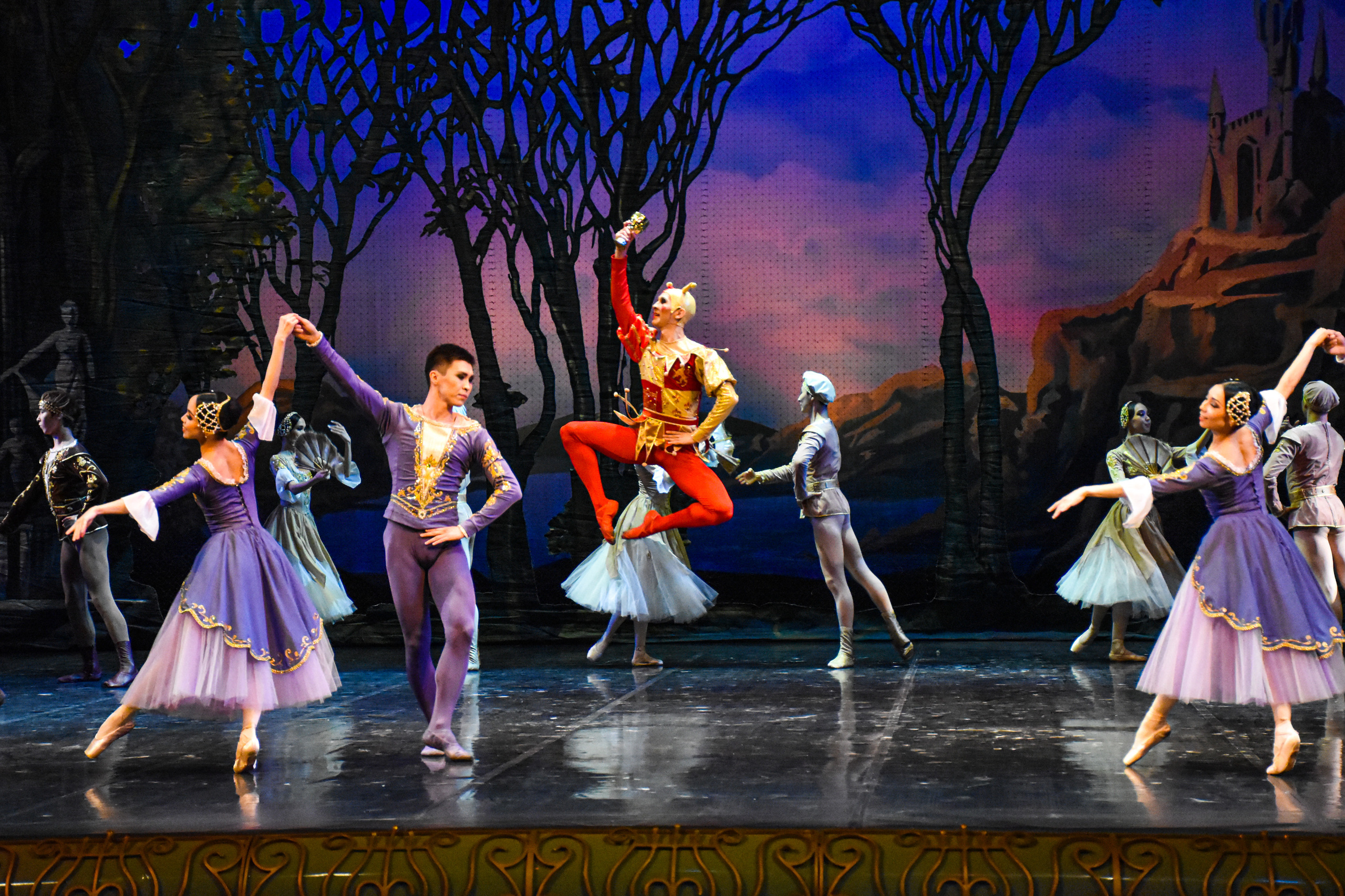 Балет «Лебединое озеро». Фотограф в Алматы