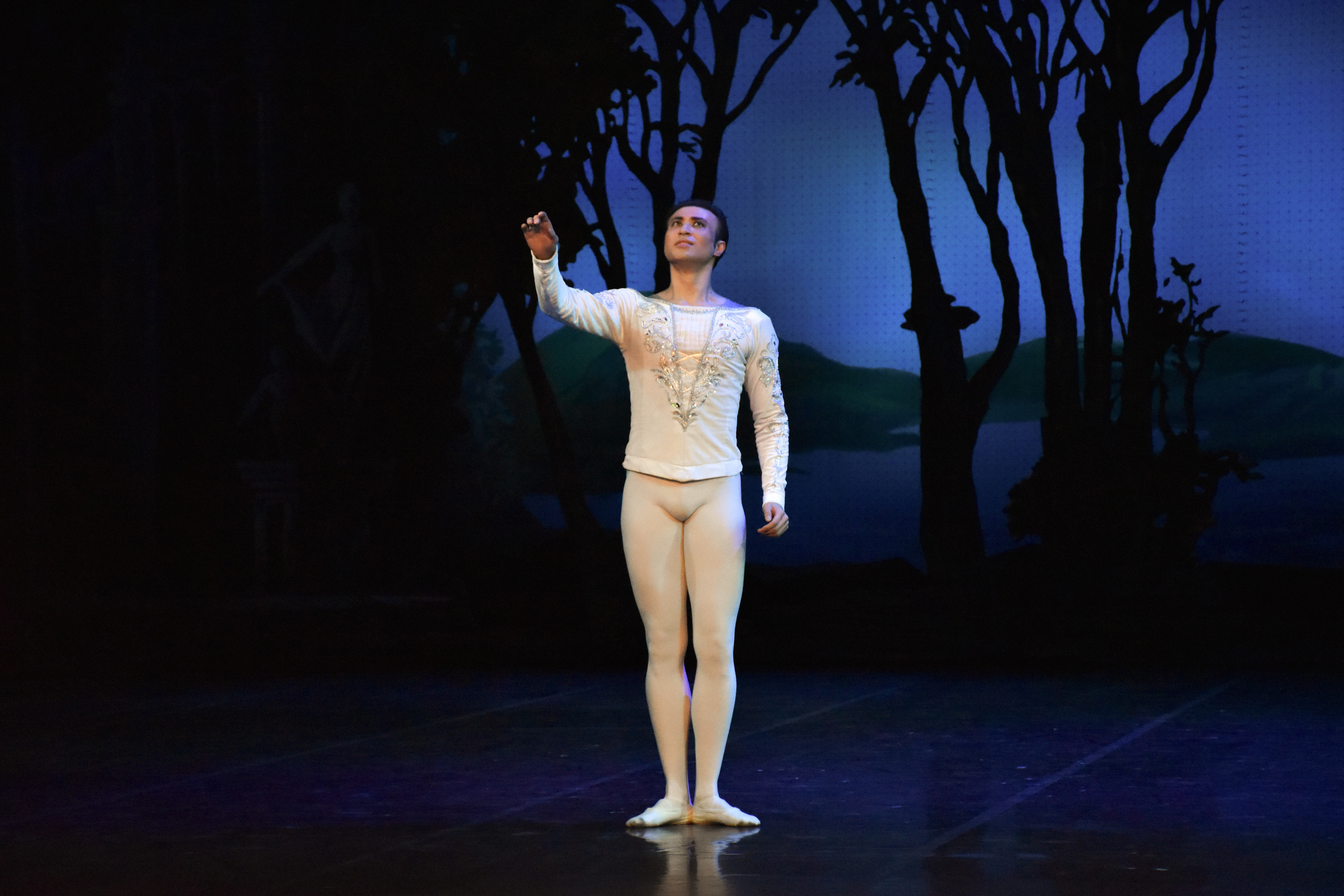 Балет «Лебединое озеро». Фотограф в Алматы