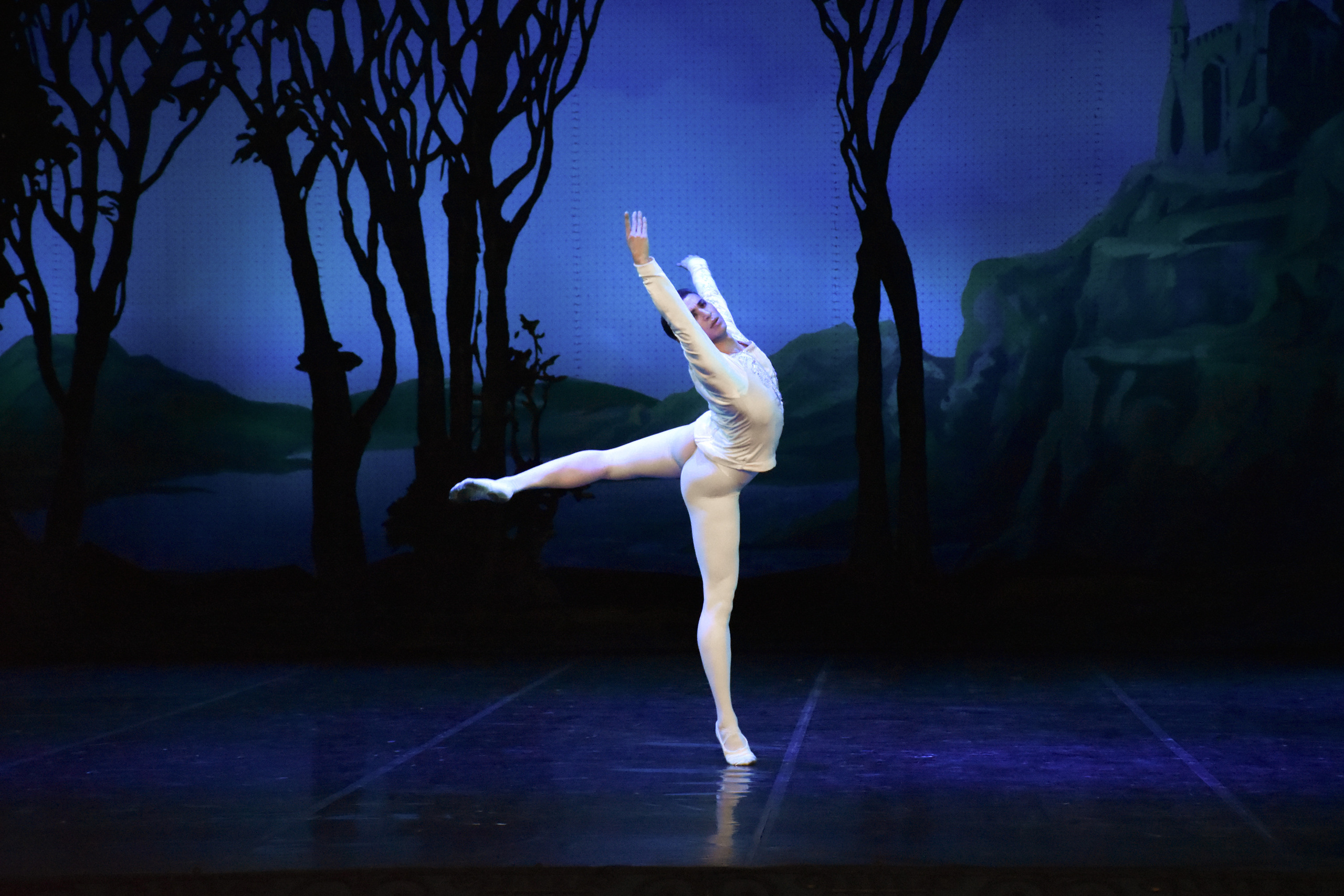 Балет «Лебединое озеро». Фотограф в Алматы