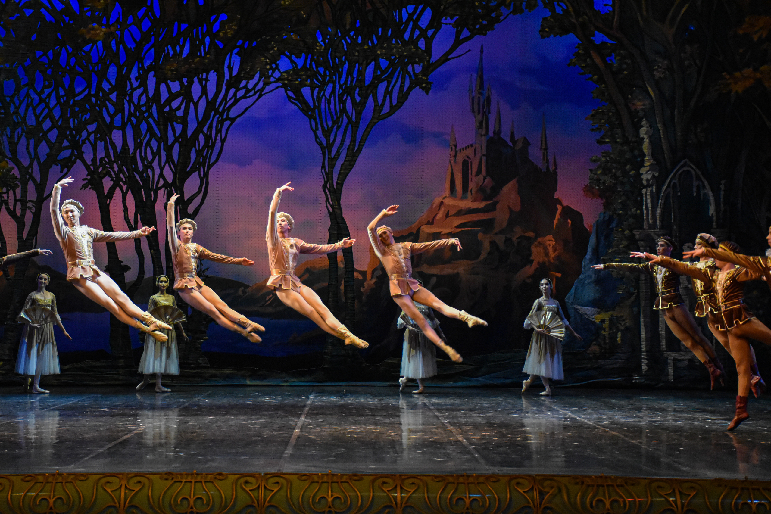 Балет «Лебединое озеро». Фотограф в Алматы