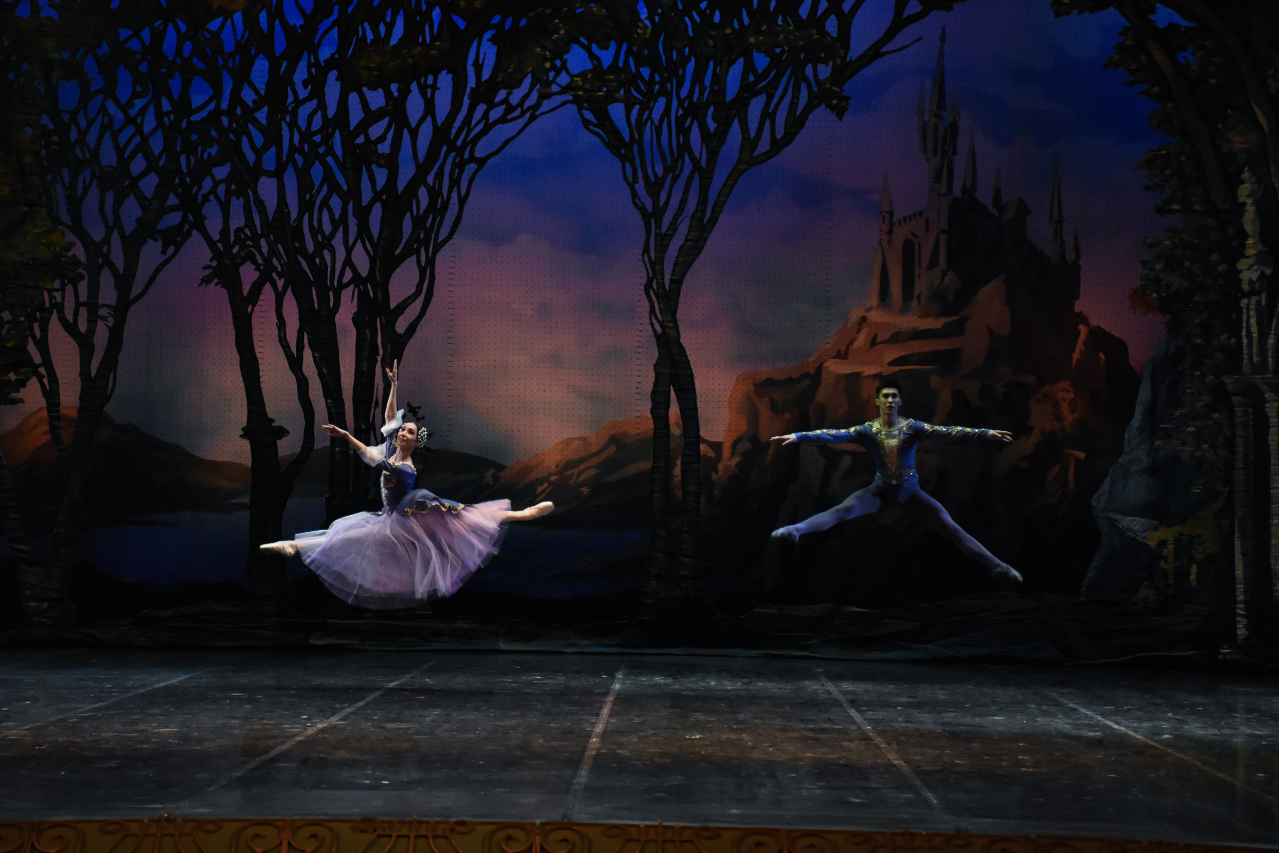 Балет «Лебединое озеро». Фотограф в Алматы
