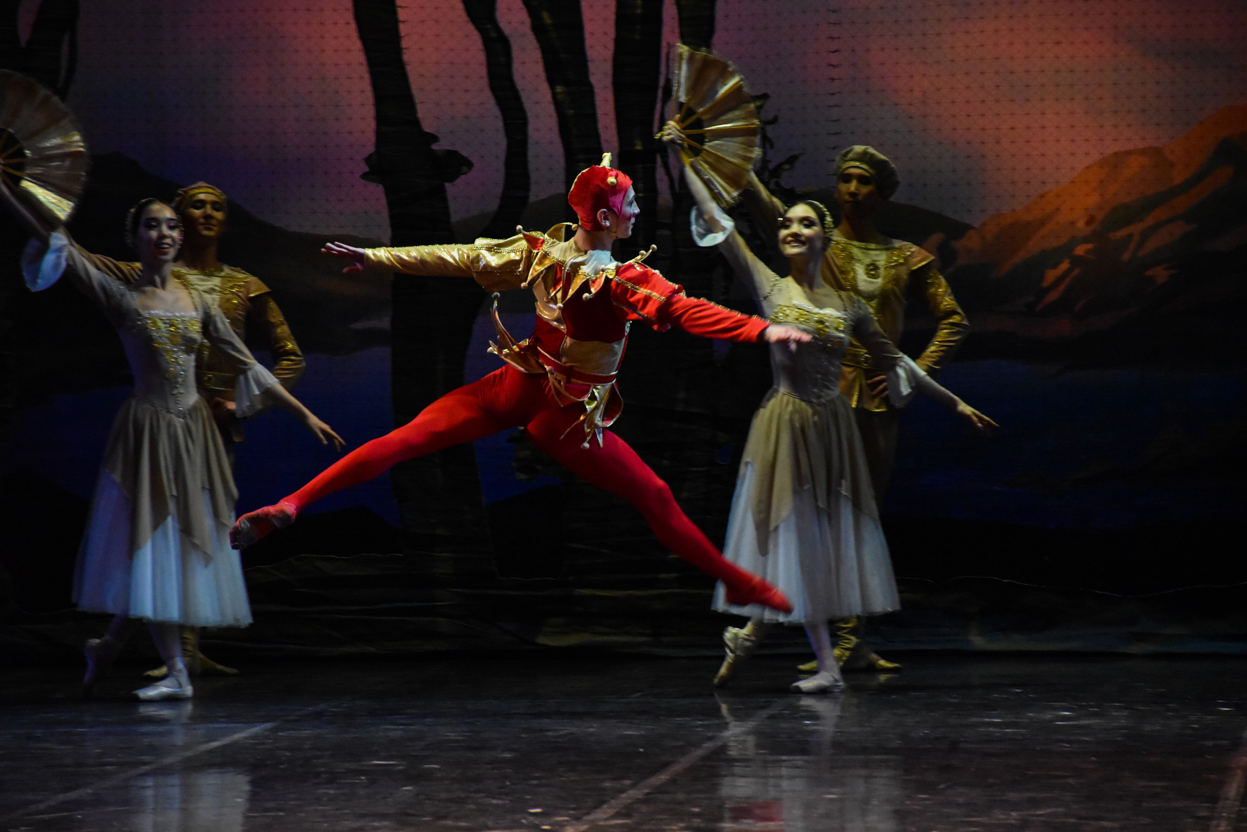 Балет «Лебединое озеро». Фотограф в Алматы