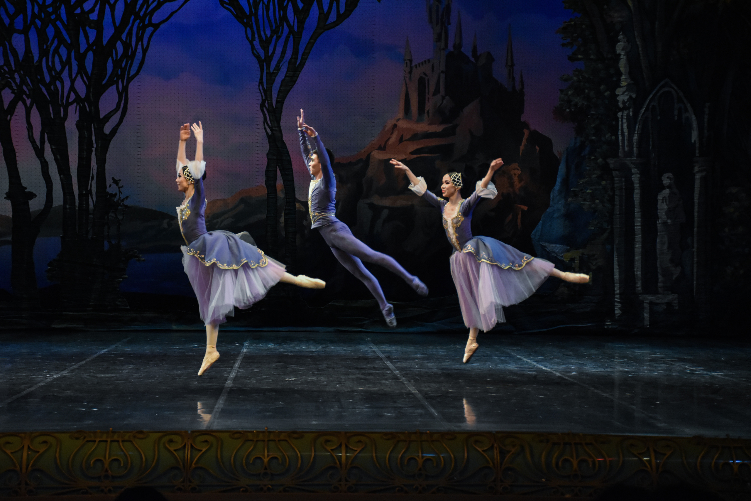 Балет «Лебединое озеро». Фотограф в Алматы