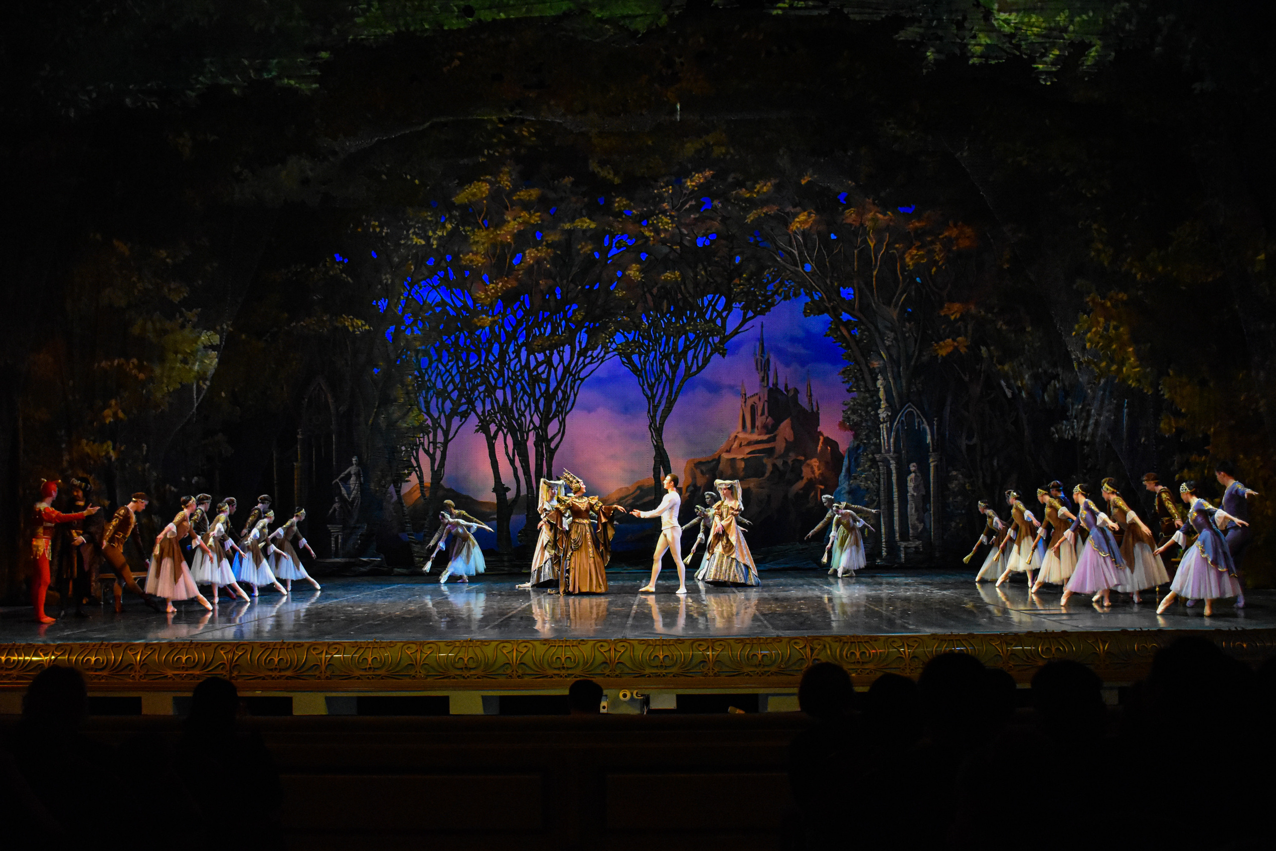 Балет «Лебединое озеро». Фотограф в Алматы