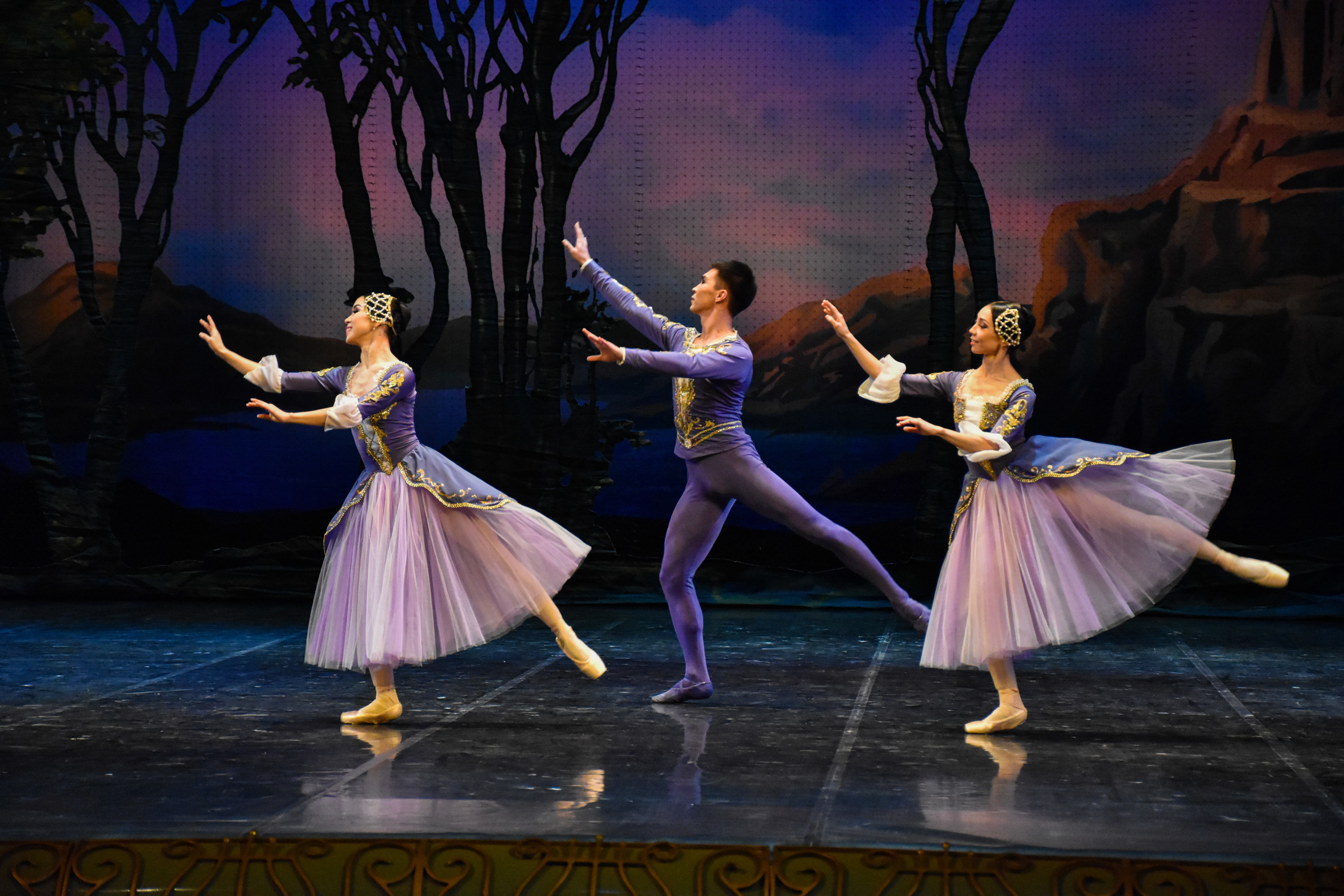 Балет «Лебединое озеро». Фотограф в Алматы