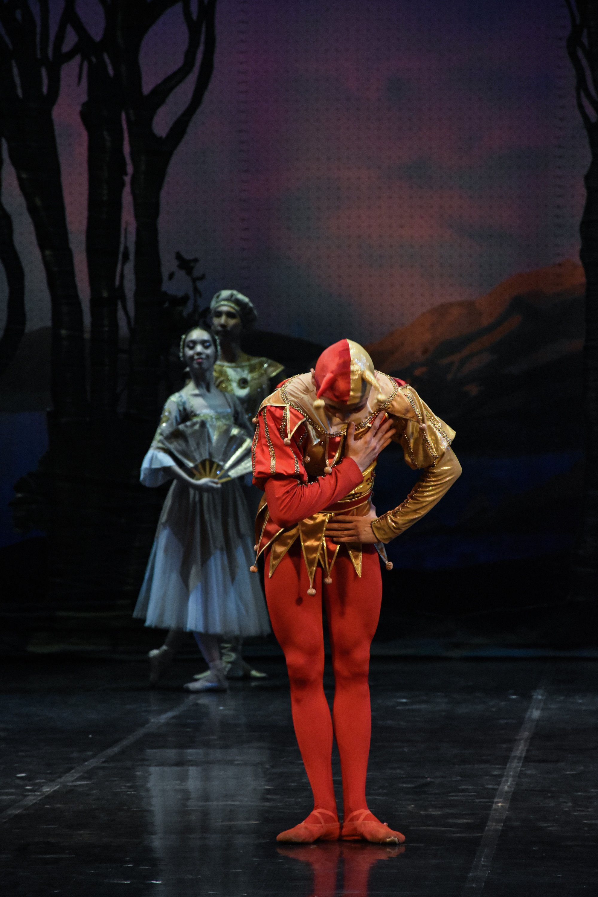 Балет «Лебединое озеро». Фотограф в Алматы